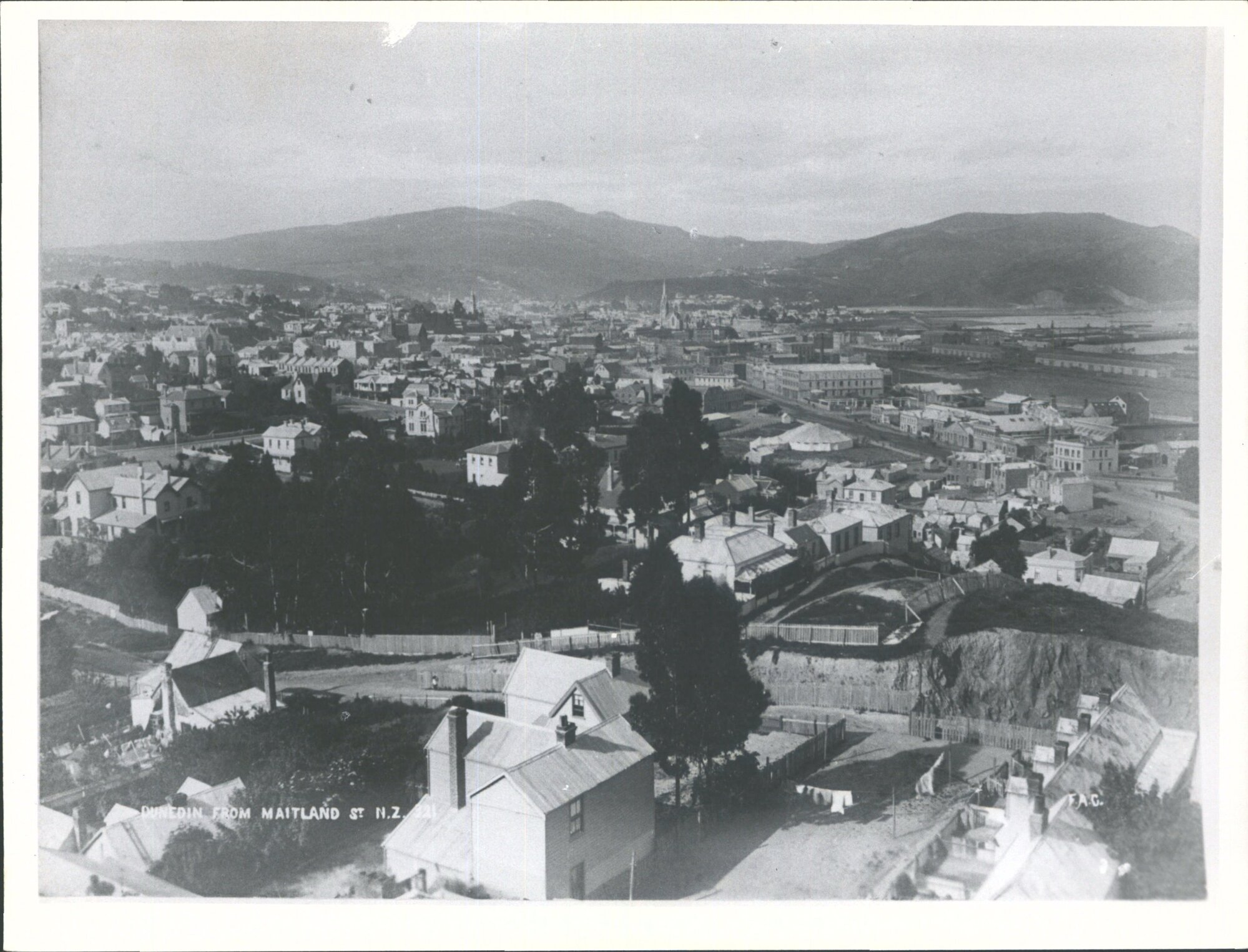 Dunedin from Maitland St, Dunedin N.Z.