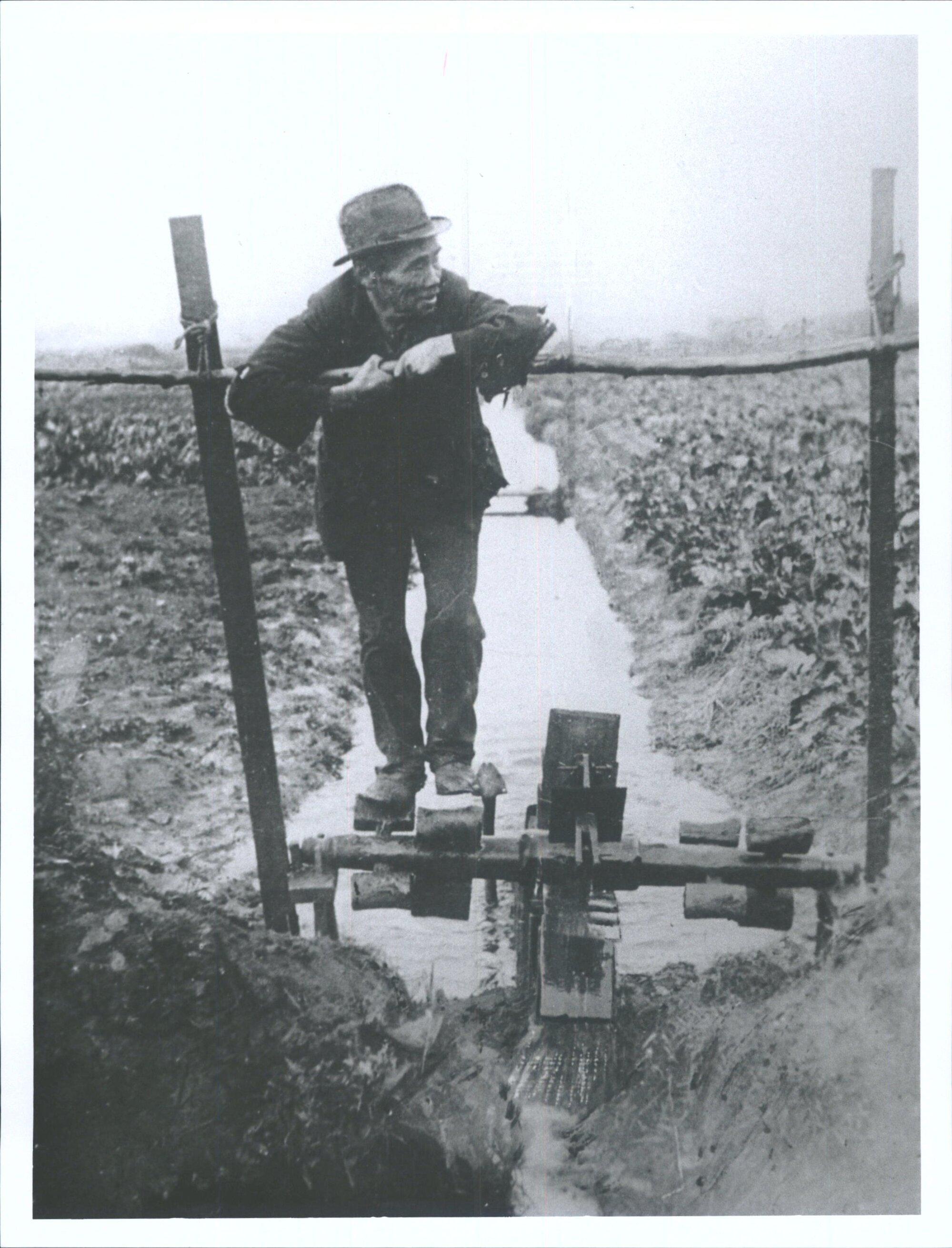 Activity on the school grounds in the early days
