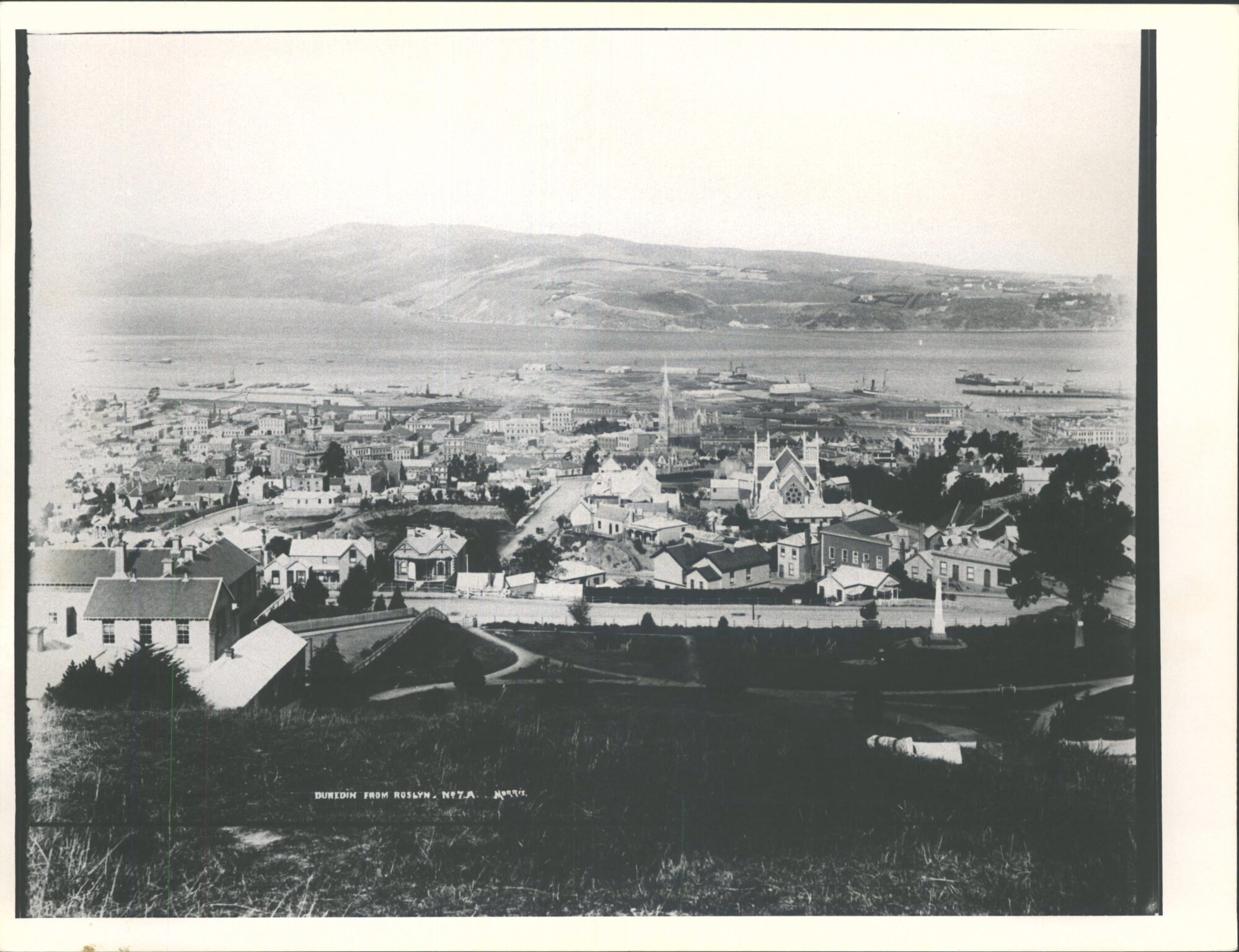 Dunedin from Roslyn