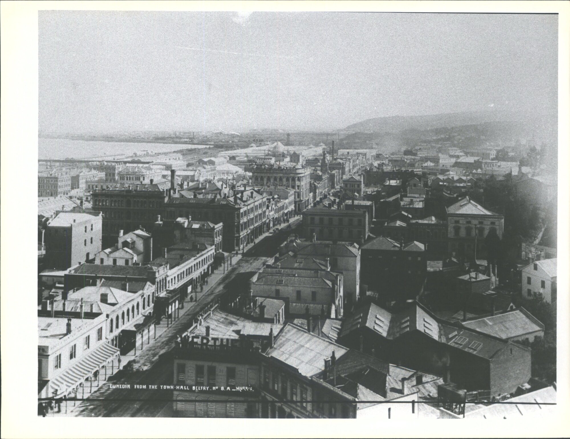 Dunedin from the Town Hall Belfry