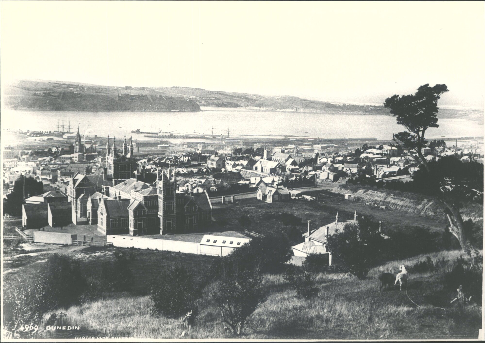 (O. B. H. S. Built 1885)