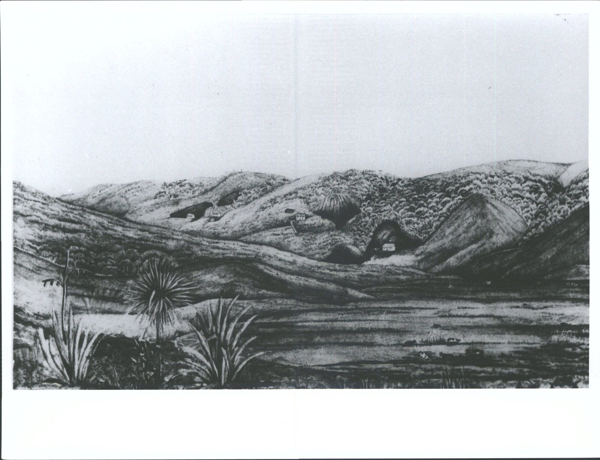 Valpy, Juliet A. O. First four houses (wattle &amp; daub)