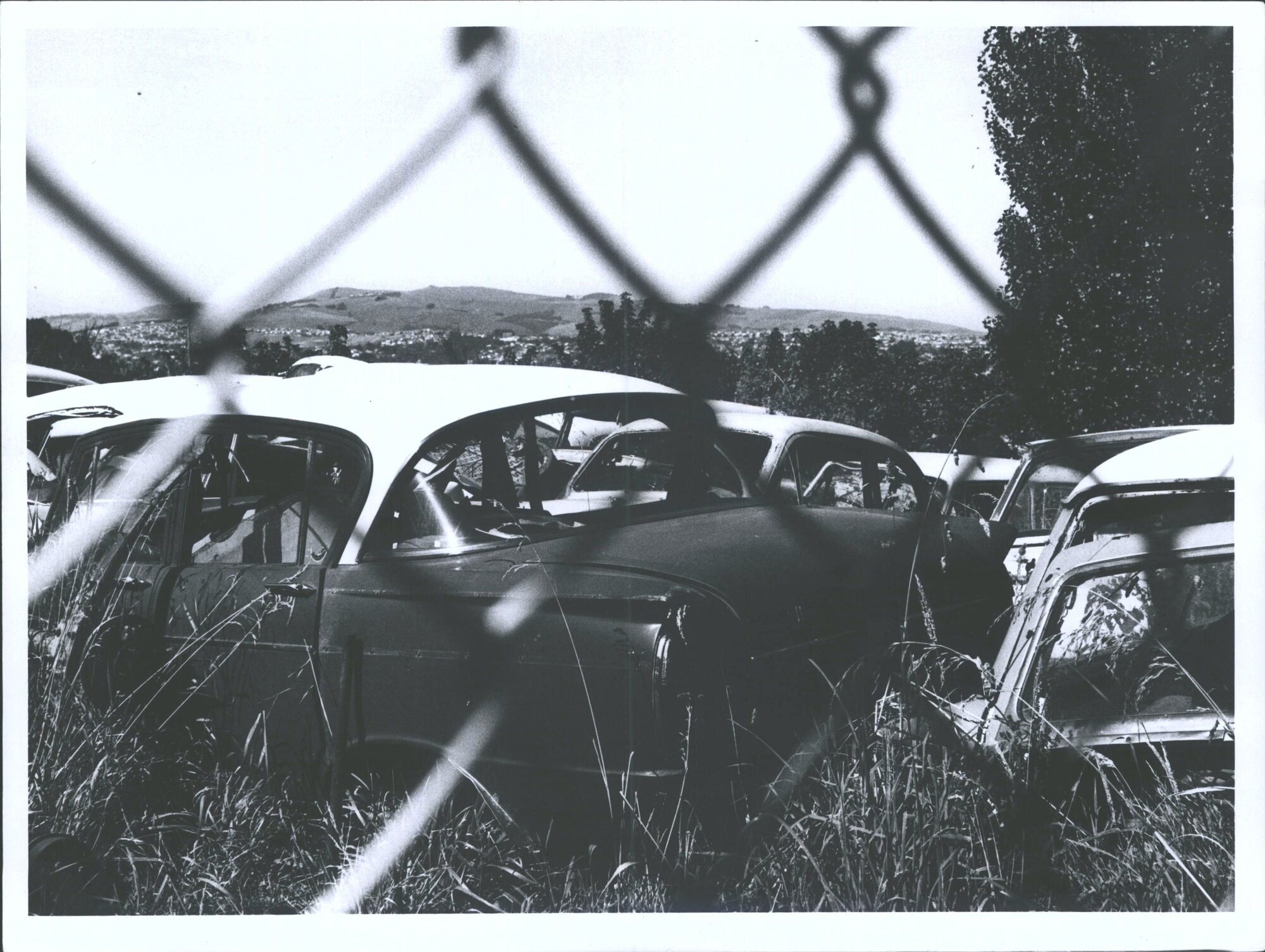 The Car wrecker's yard at 28 Lindsay Road