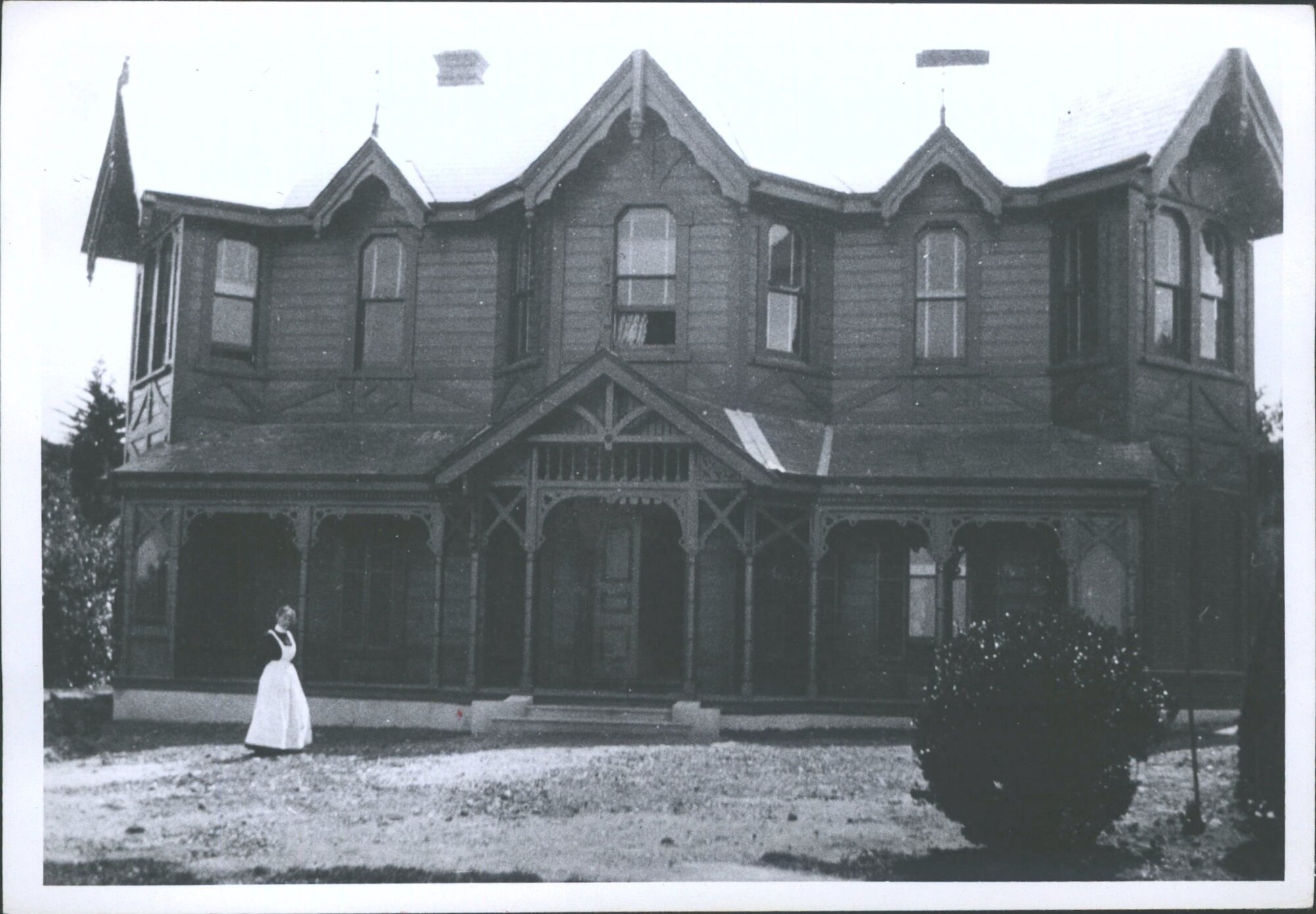 Dwelling Dunedin