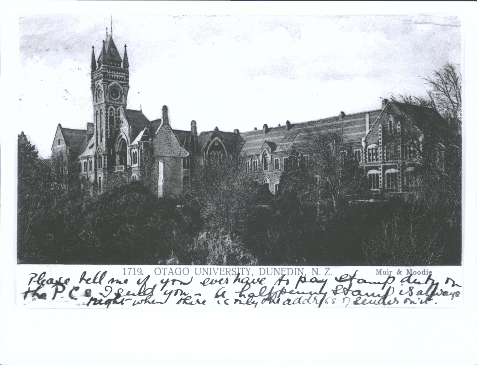 "Otago University Dunedin NZ"