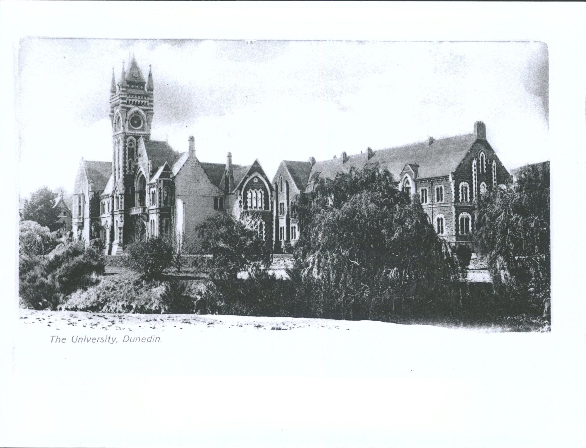 "A Bit of Dunedin - Otago University Dunedin"