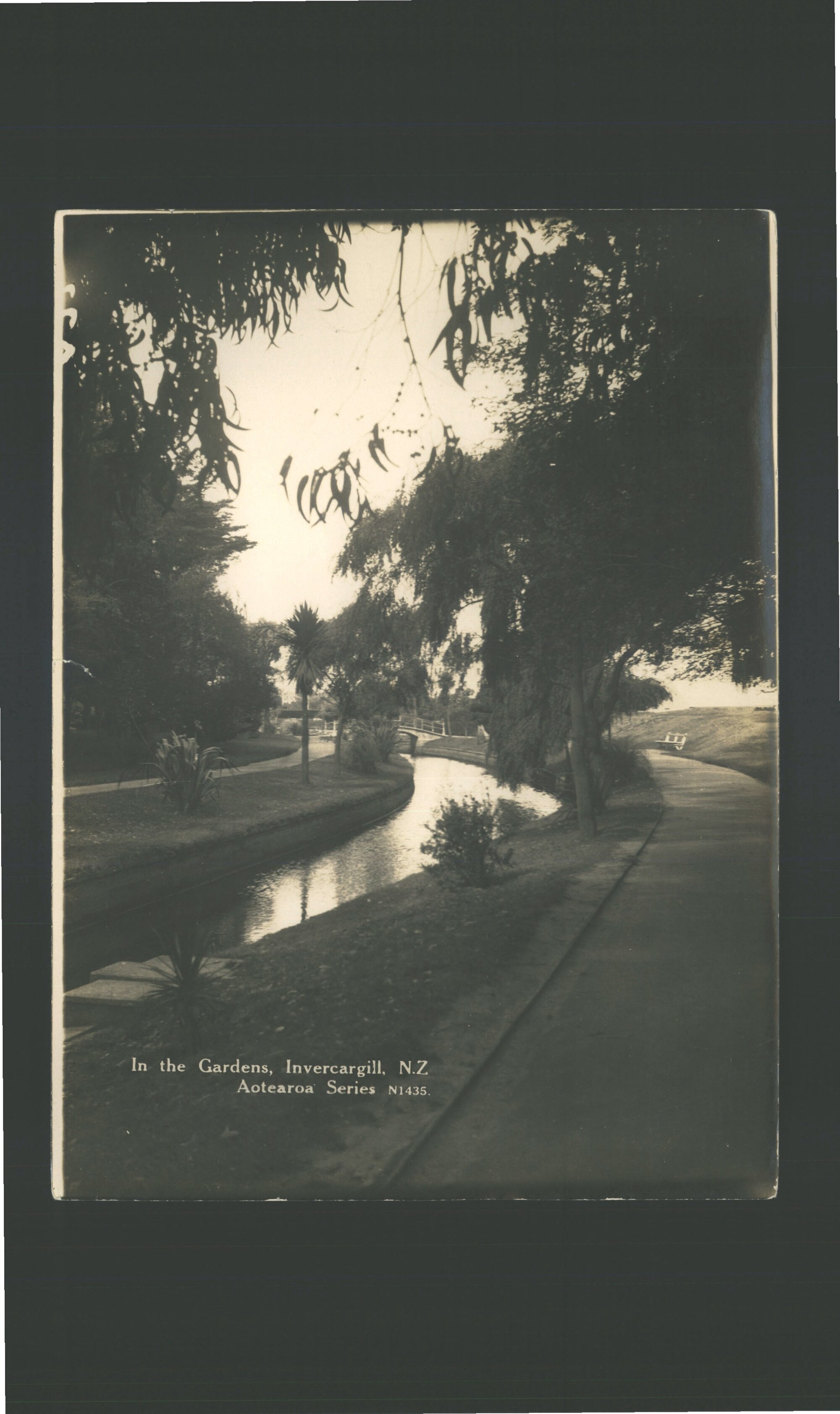 In the Gardens, Invercargill, N.Z.