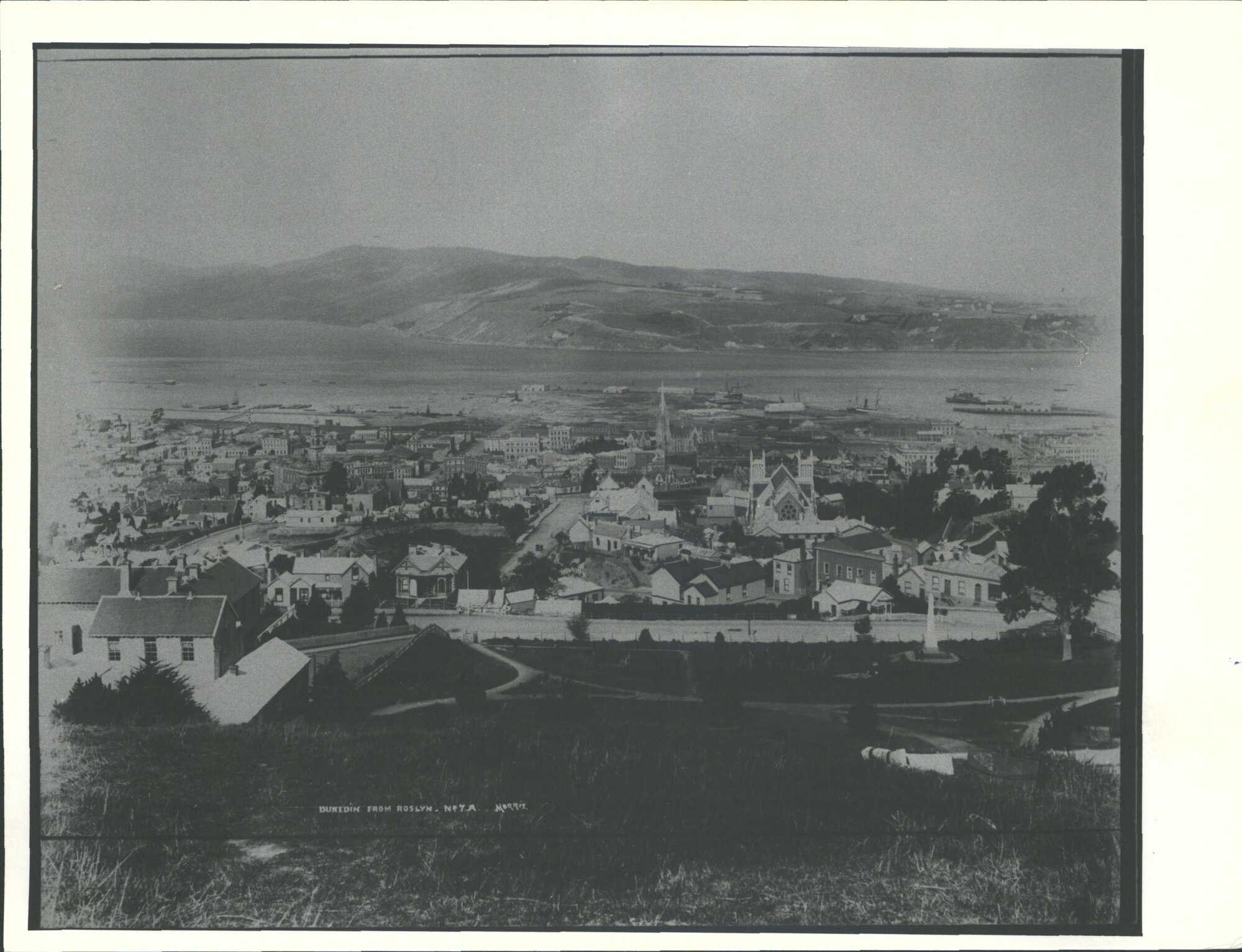 Showing School on left of old cemetery on right - old Dunedin Asylum grounds