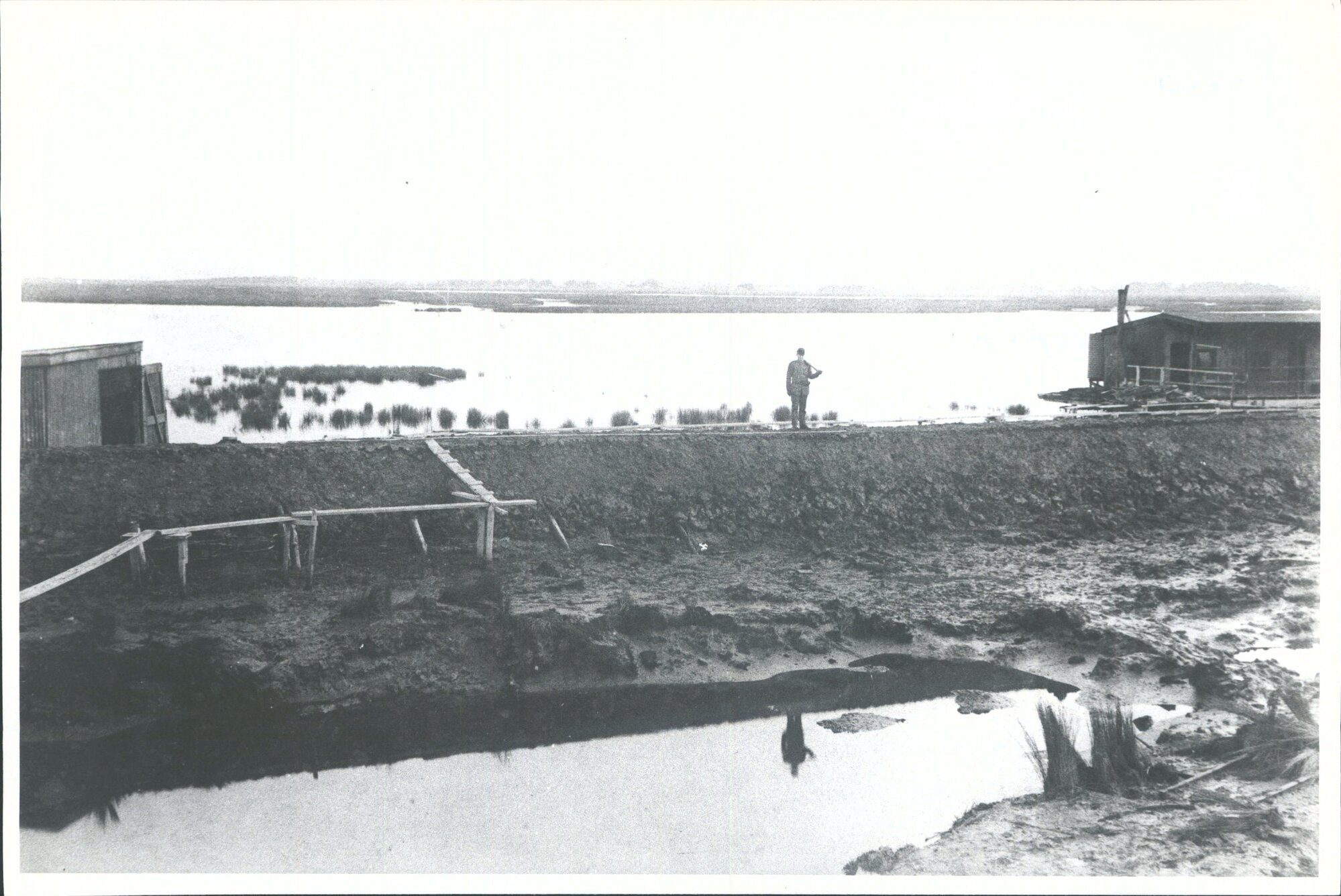 Otatara Reclamation  Looking west from Borstal Bridge