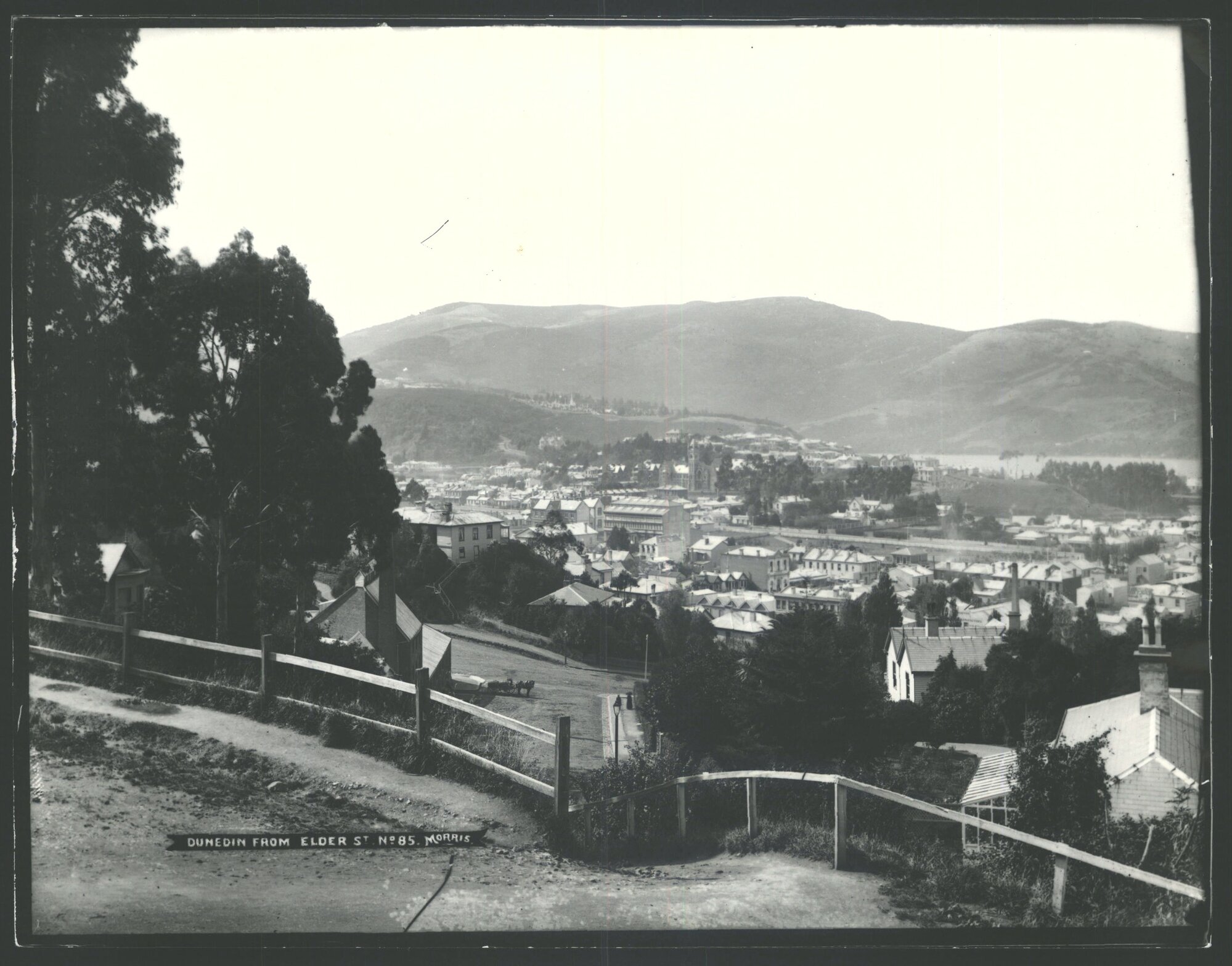 DUNEDIN NORTH 1880s