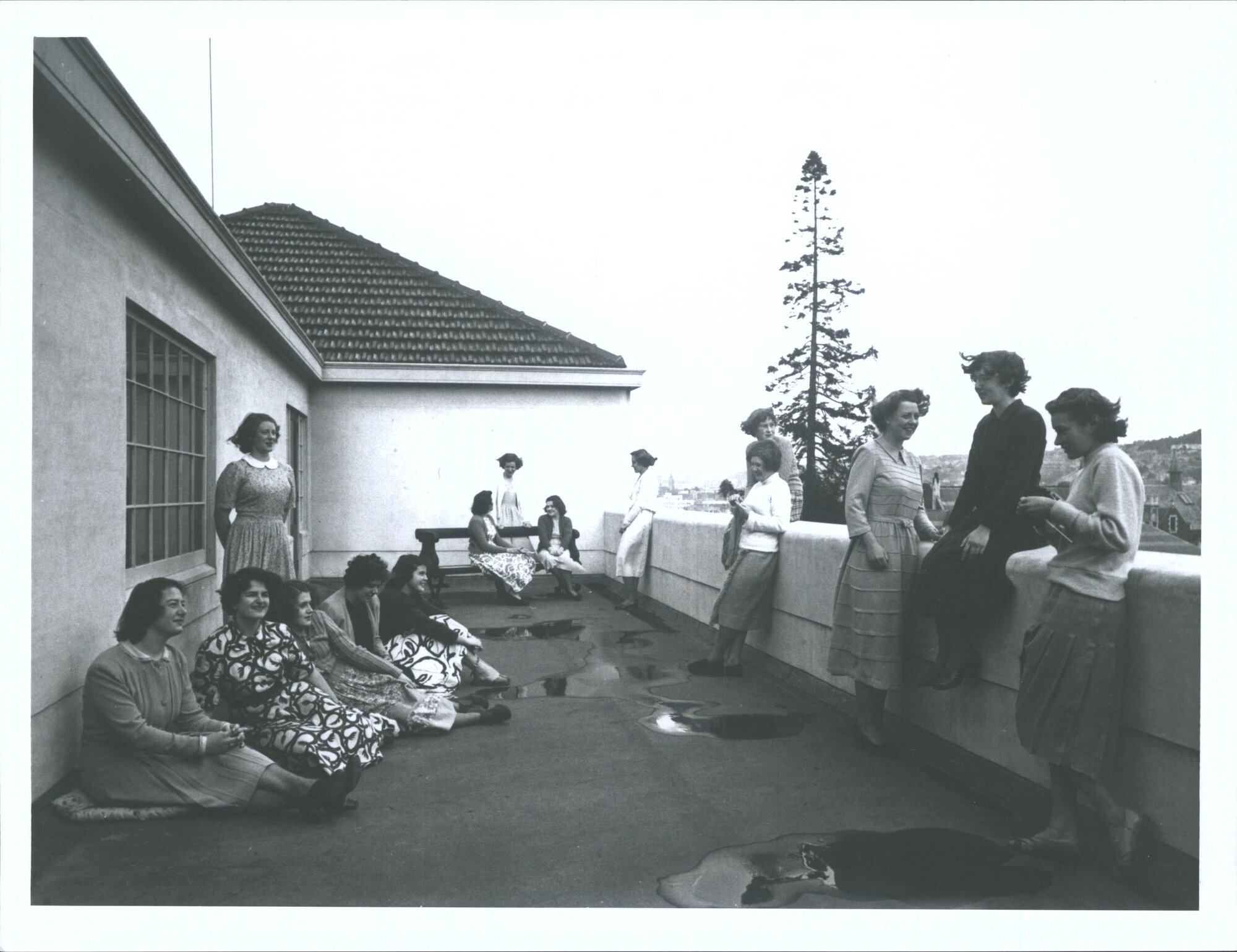 "A popular spot on a sunny day at St. Margaret's College, University of Otago."