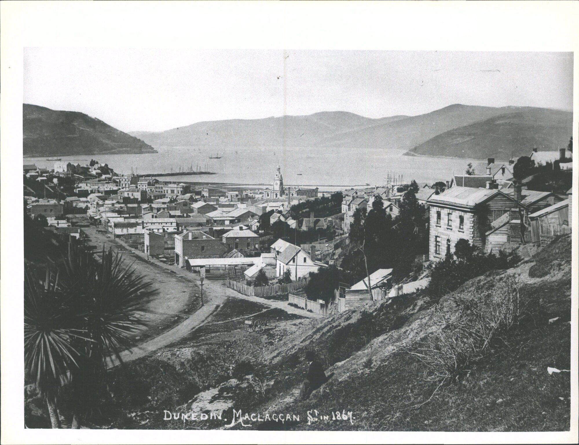 Dunedin, Maclaggan St in 1867