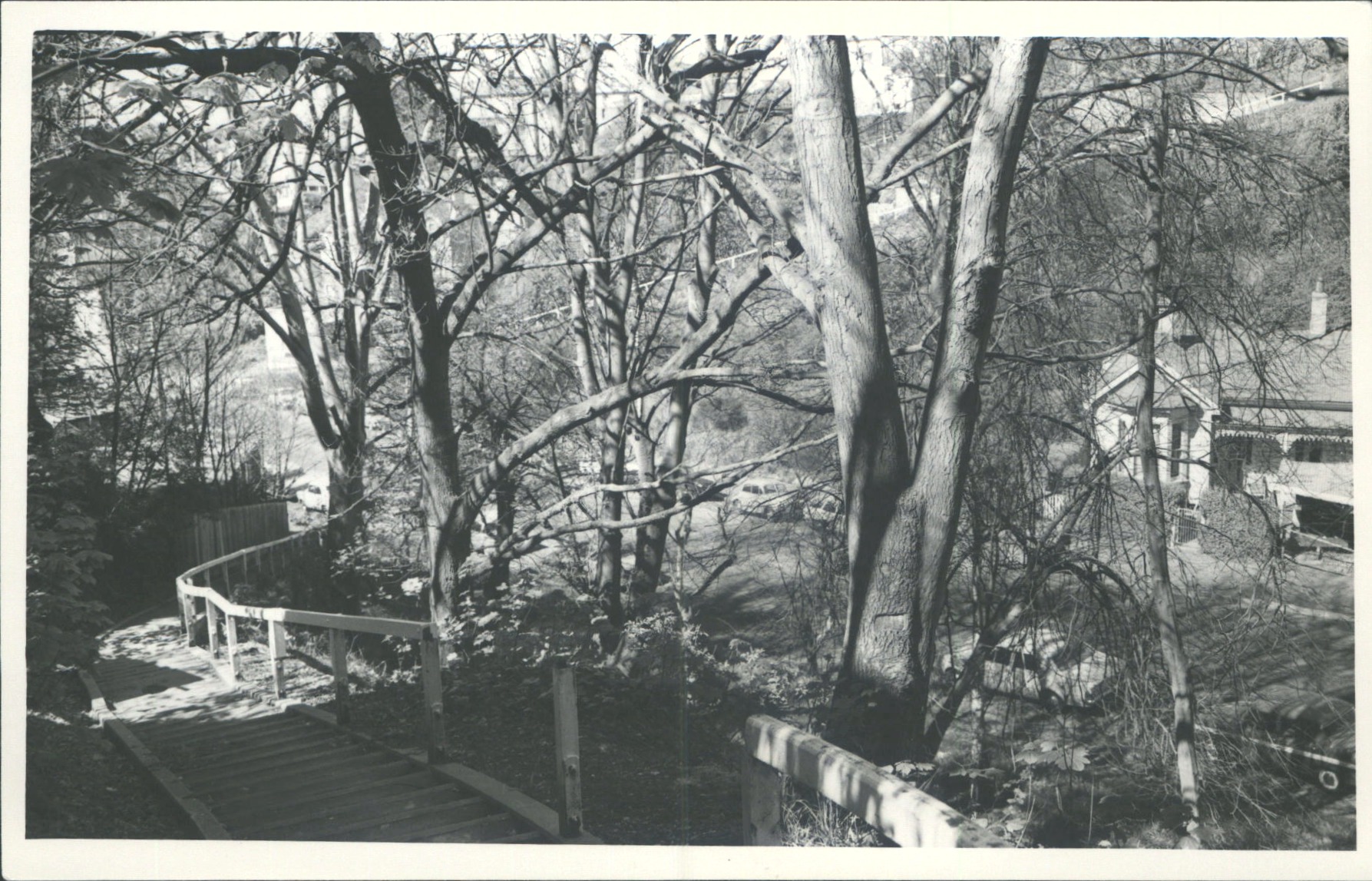 Looking down on Maclaggan St.