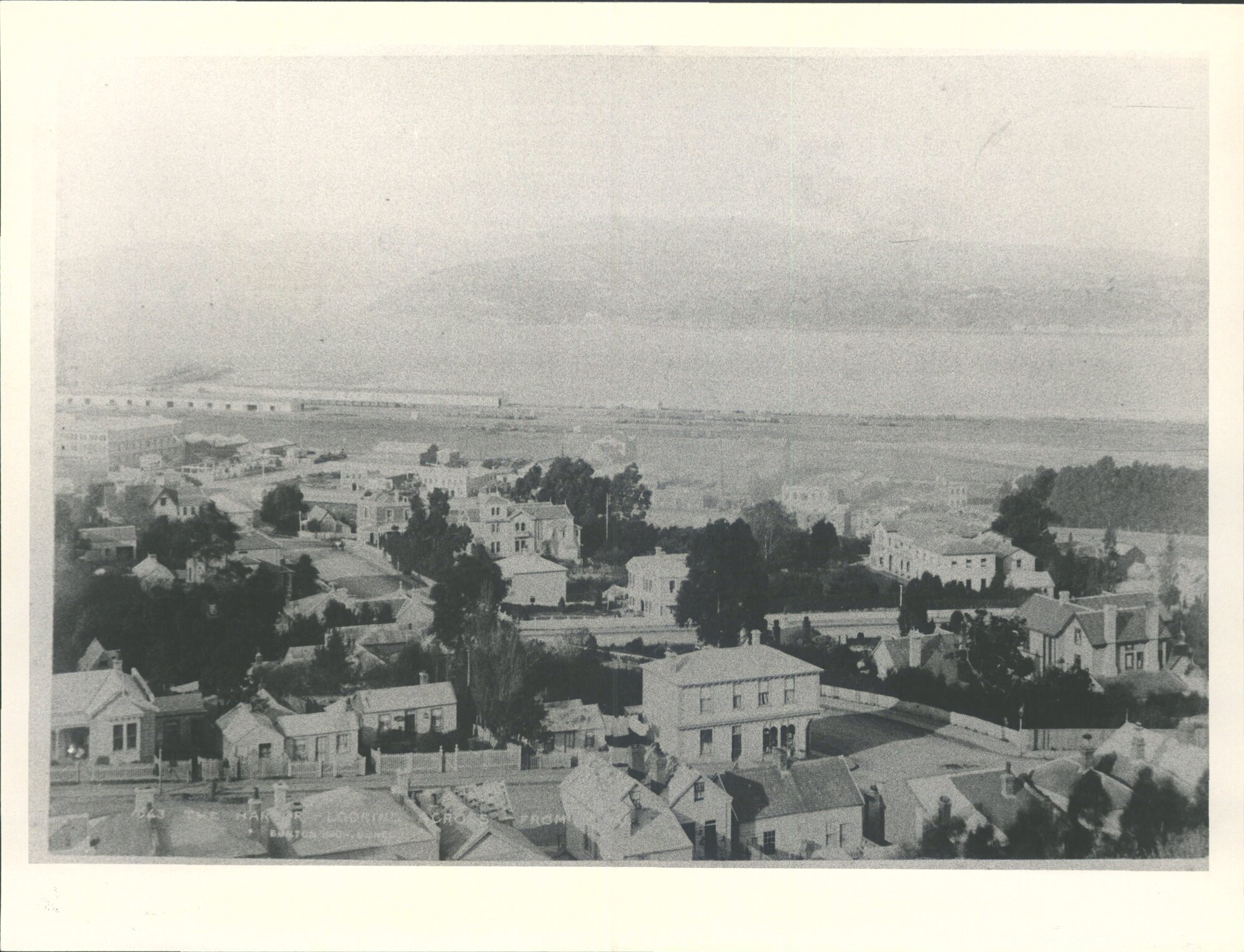 The harbour looking across from' Centre right - Otago Club
