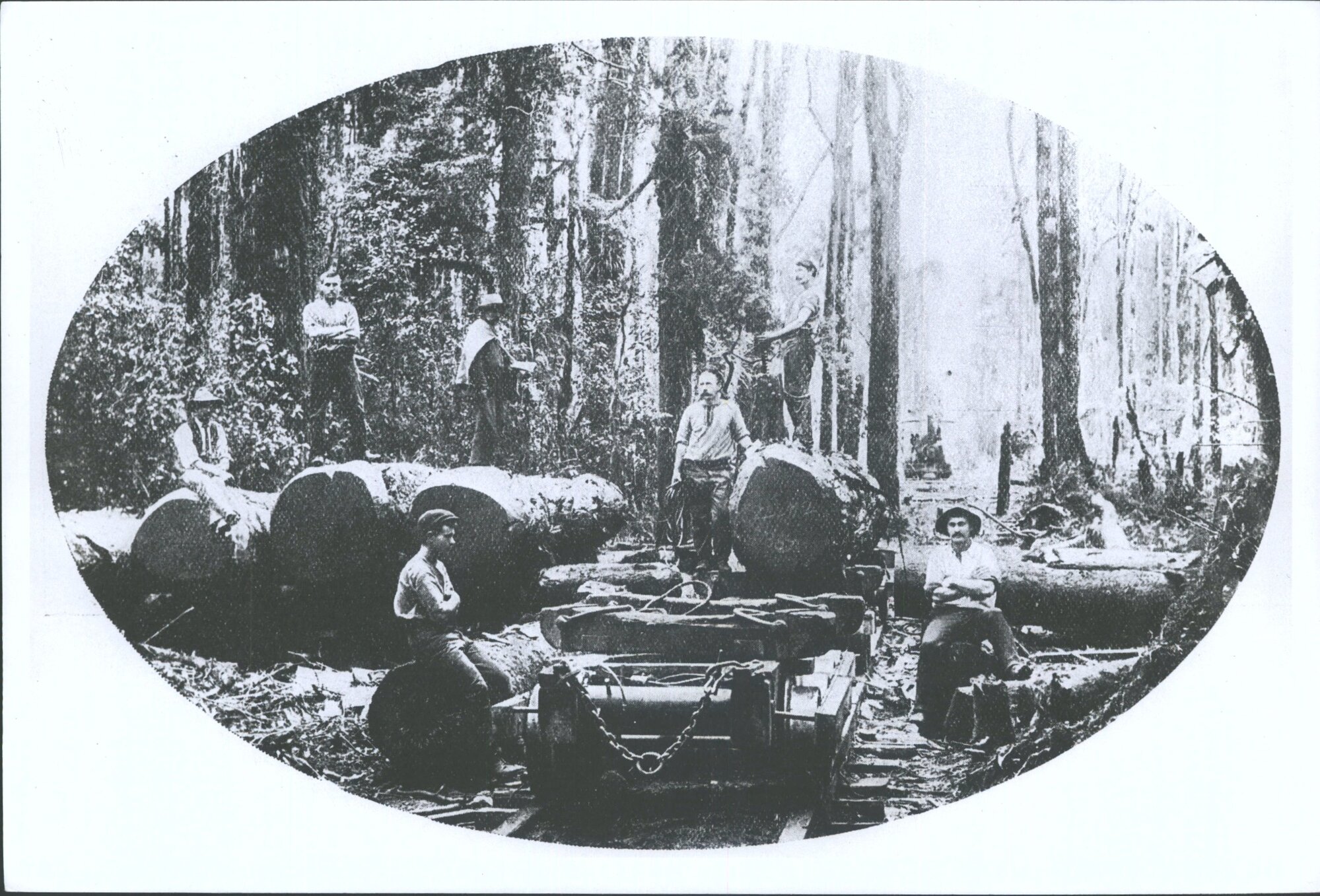 A loading bank, Tiroa Forest King Country