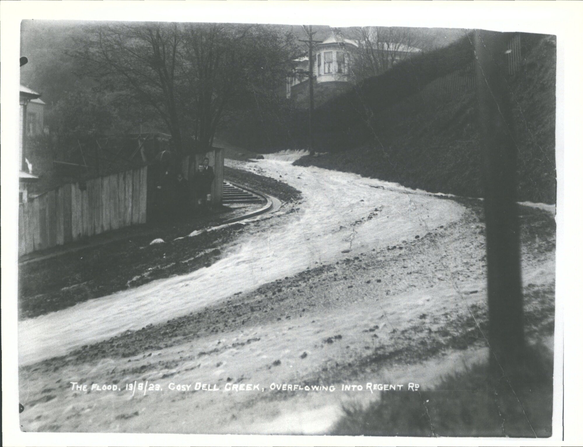 Cosy Dell creek overflowing