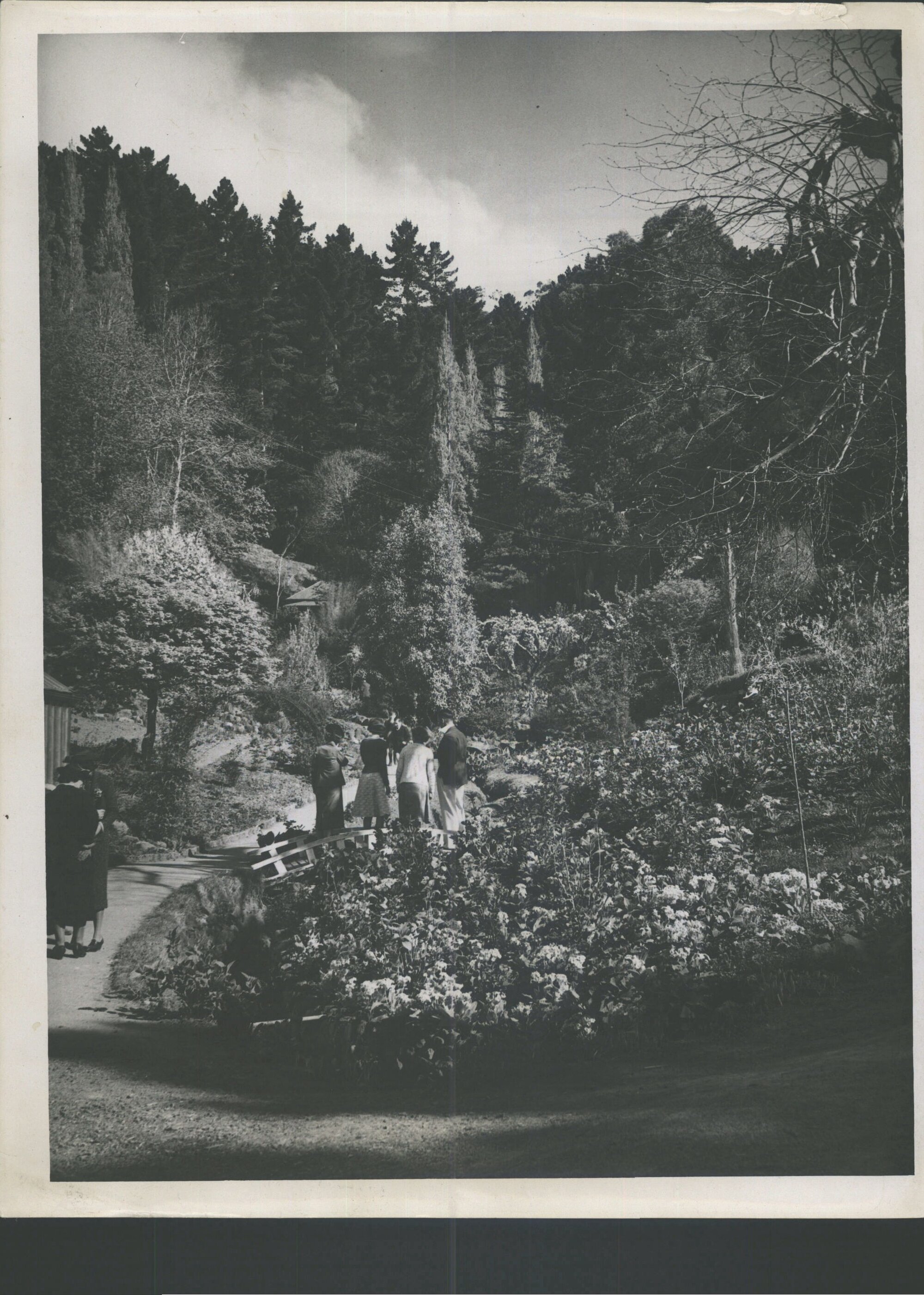 Glenfalloch