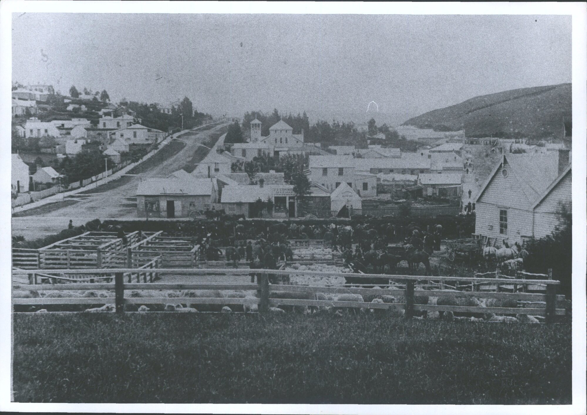 Sale Yards at Corner of Whitehaven &amp; Colonsay Streets.