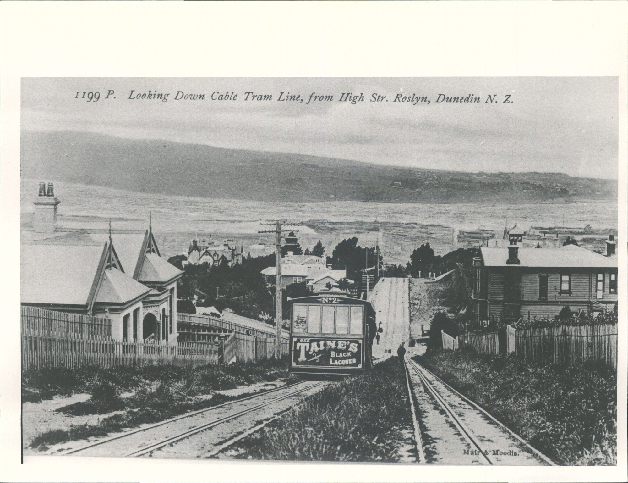 The Cable Tram Line from High St, Roslyn