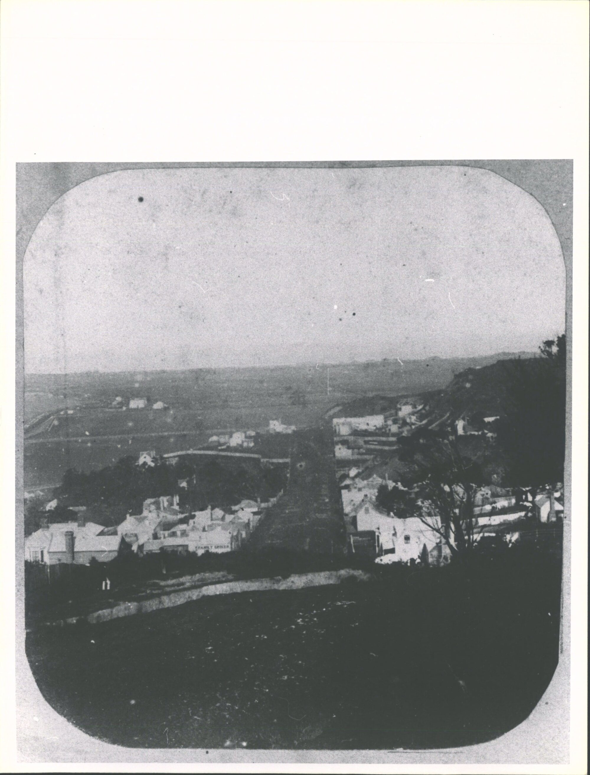 Dunedin South