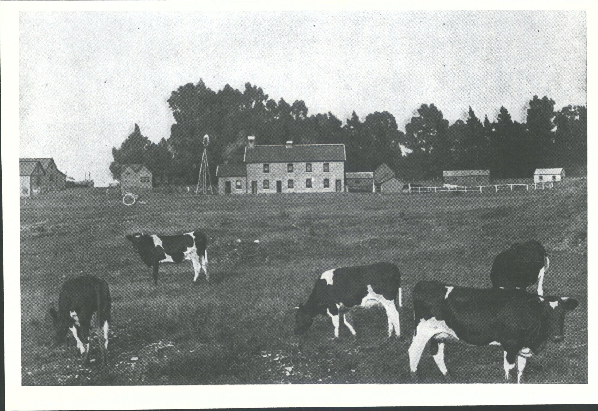 A view of the farmyard from the terrace.
