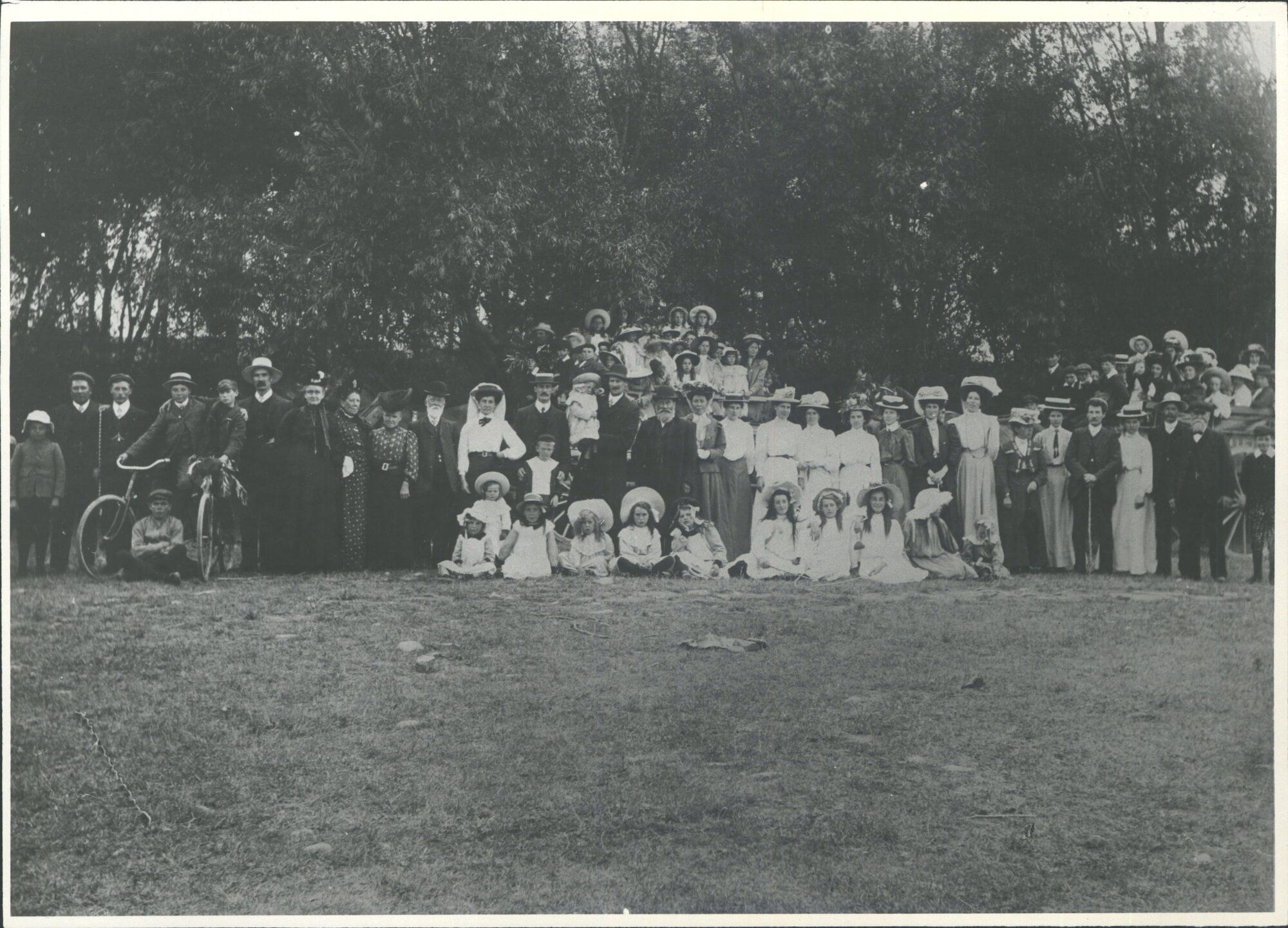 S.S. Picnic at Maheno