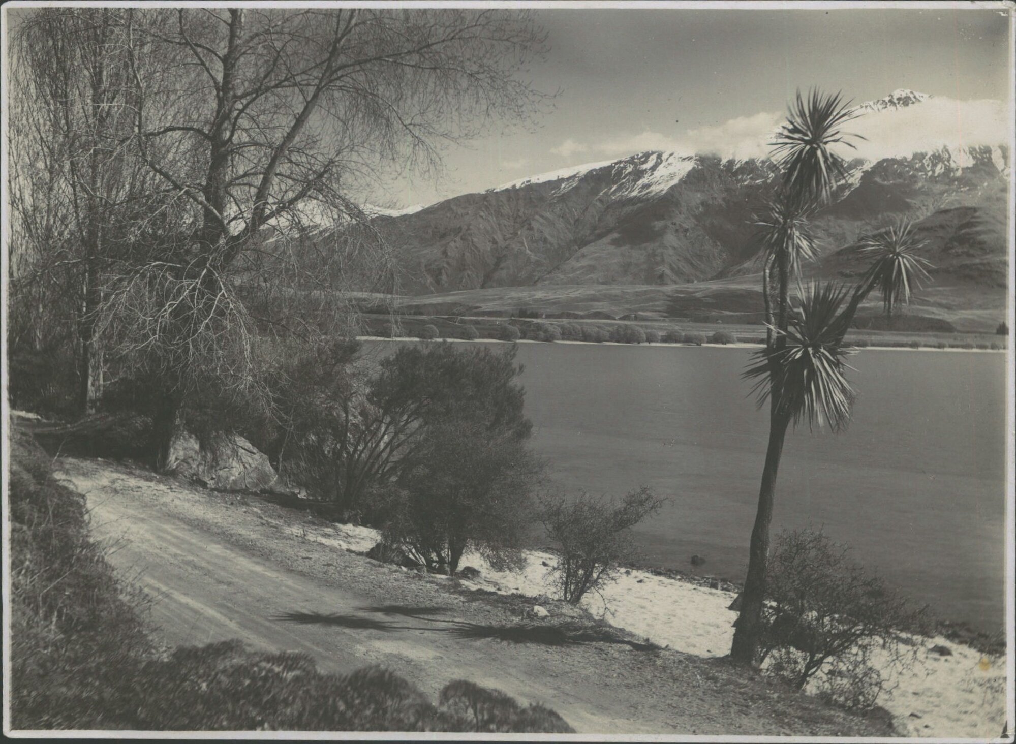 On the road at Glen Dhu Bay, Lake Wanaka,