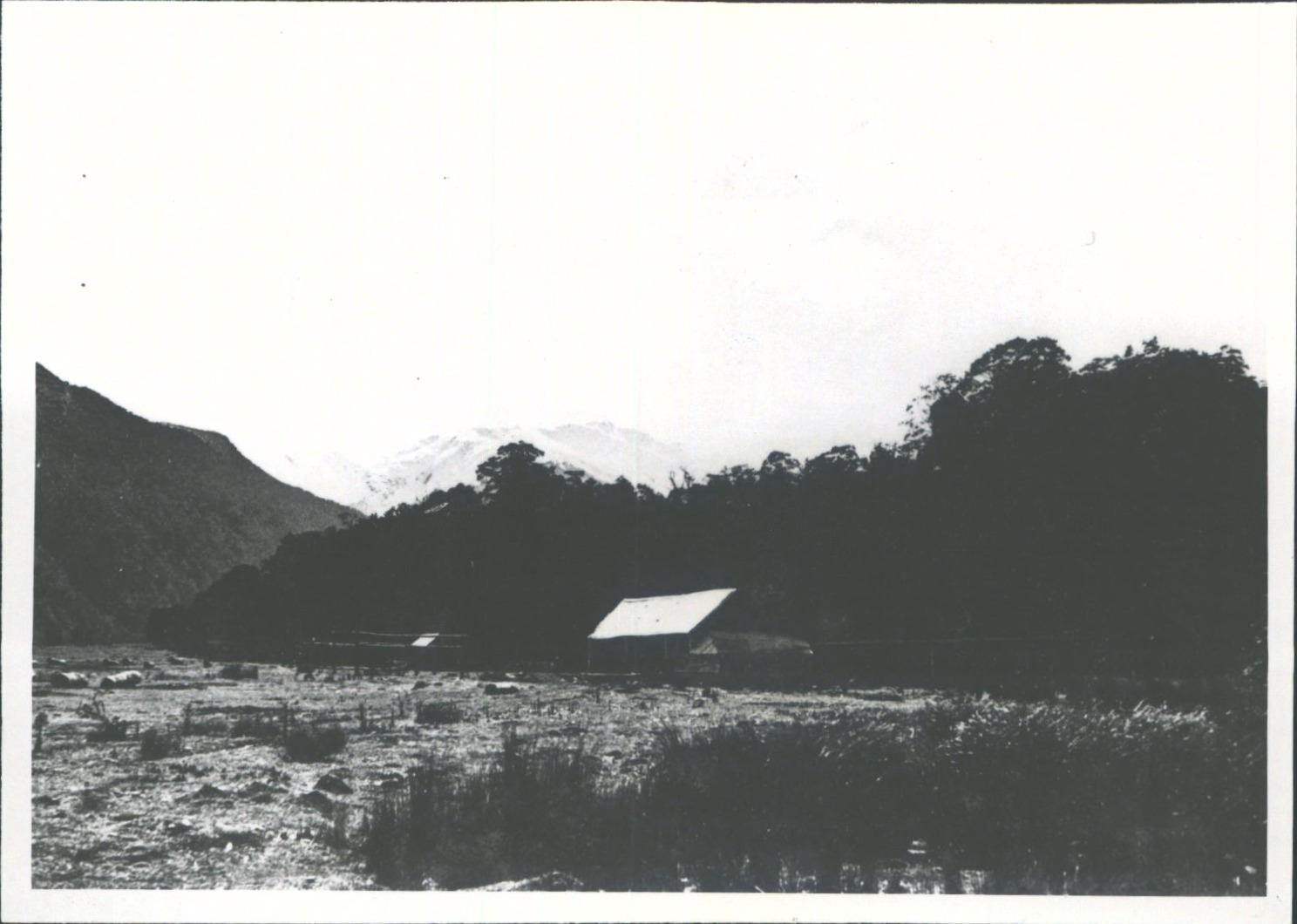 Timber Mill Makarora Valley