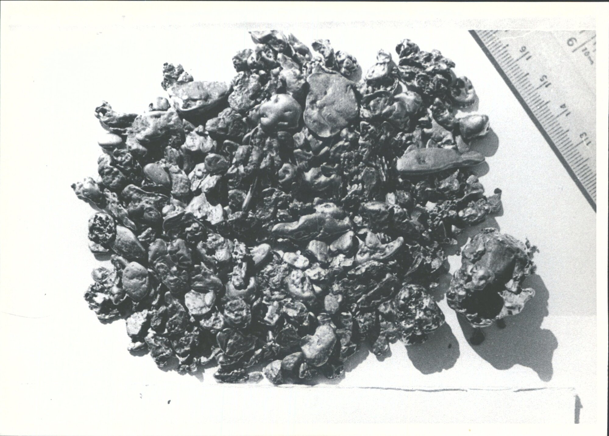 21oz rough Clutha gold