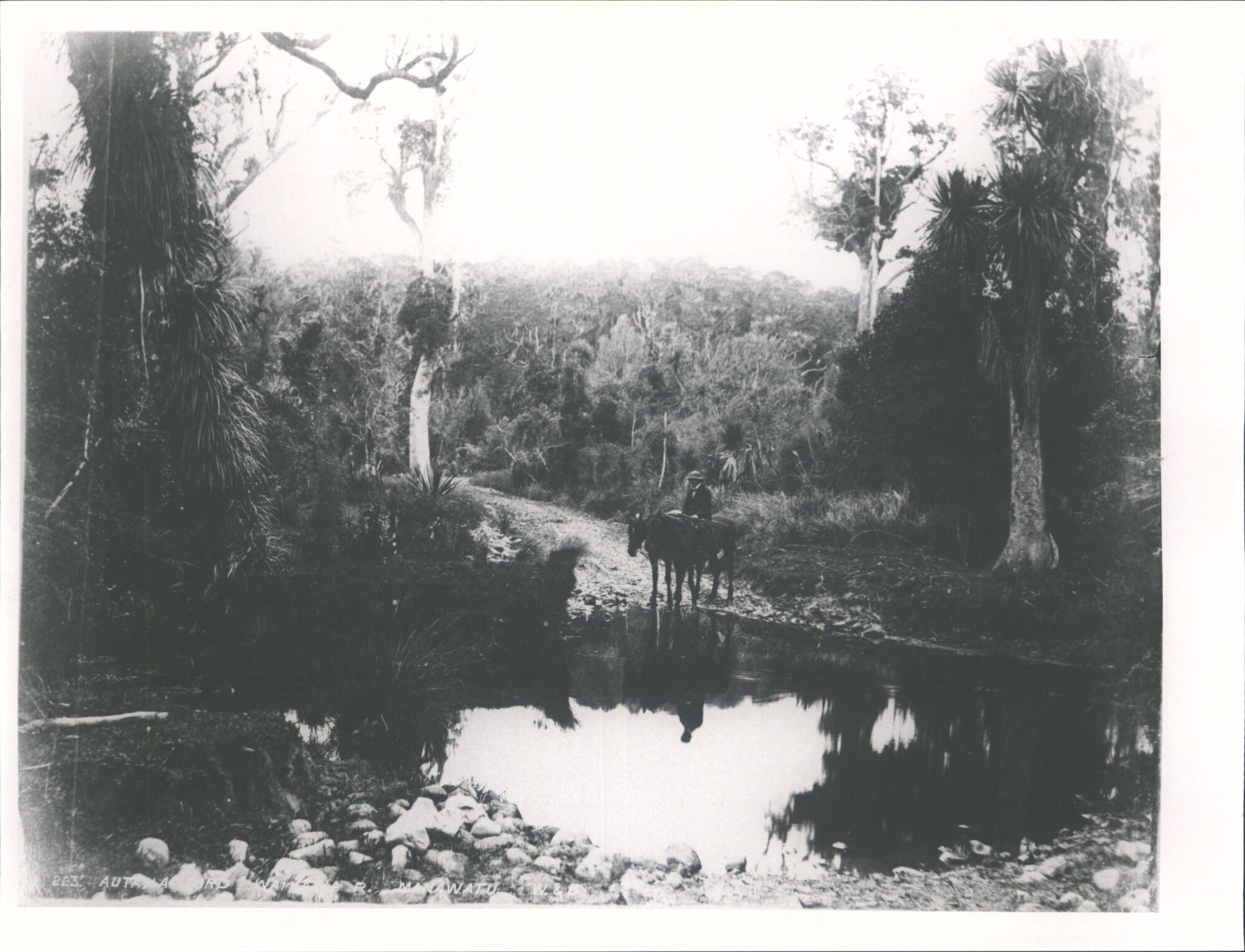 Autaha Ford, Waikawa River