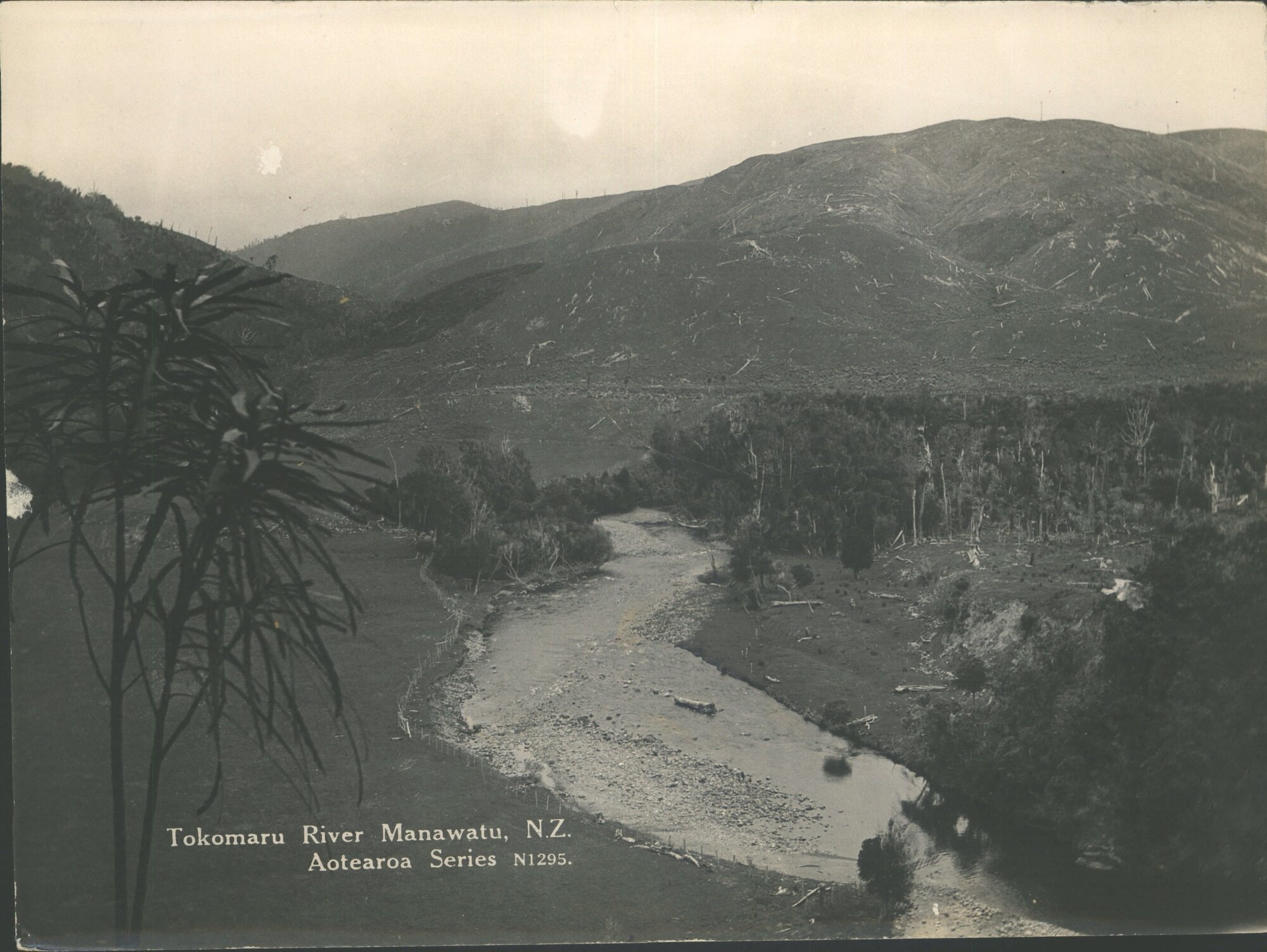 Tokomaru River, Manawatu, N.Z.