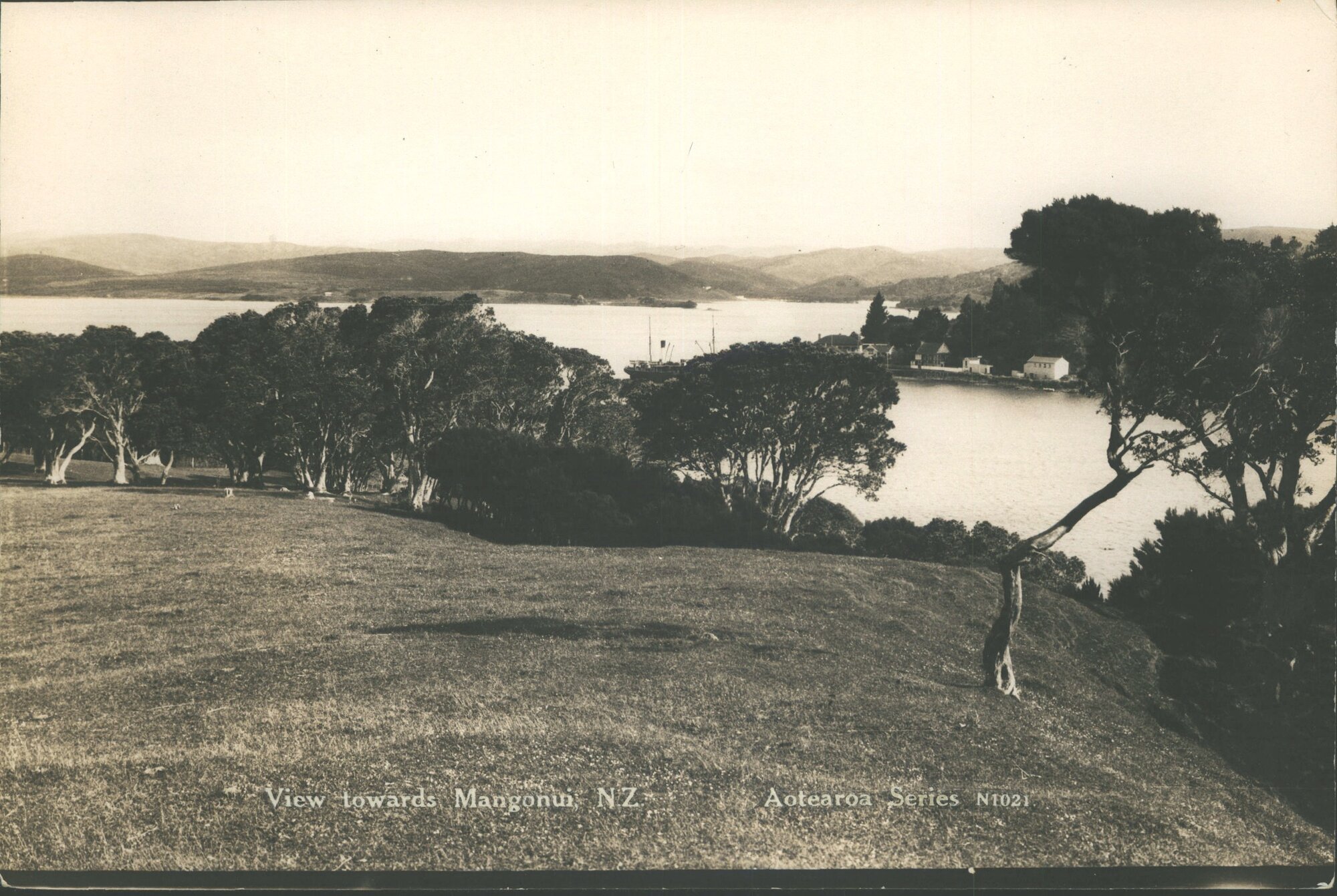 View towards Mongonui, N.Z.