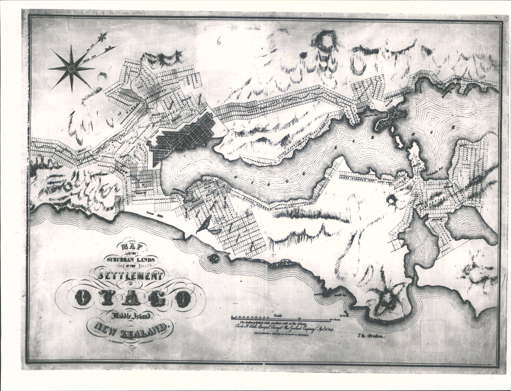 Dunedin &amp; Harbour