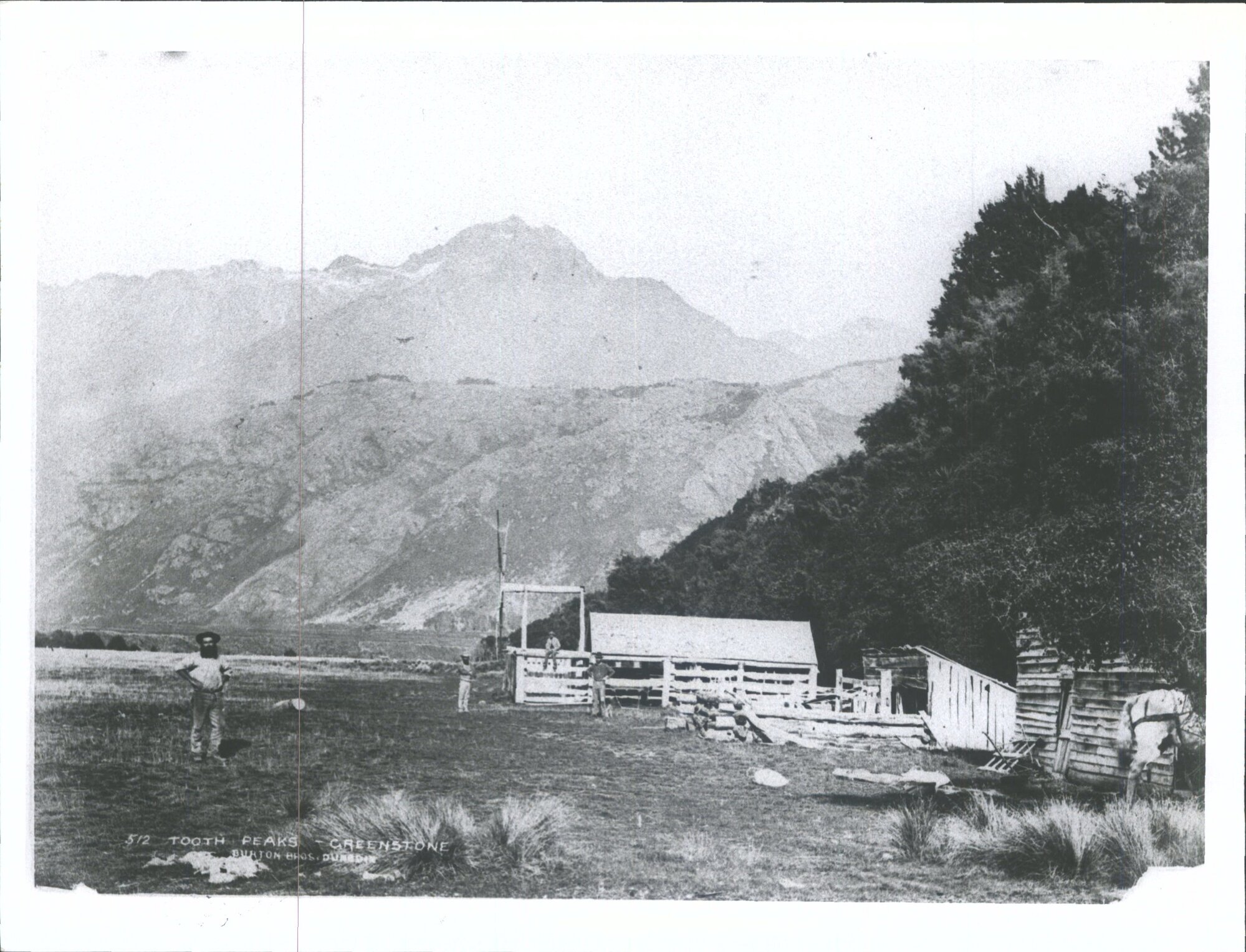 GREENSTONE - Tooth Peaks