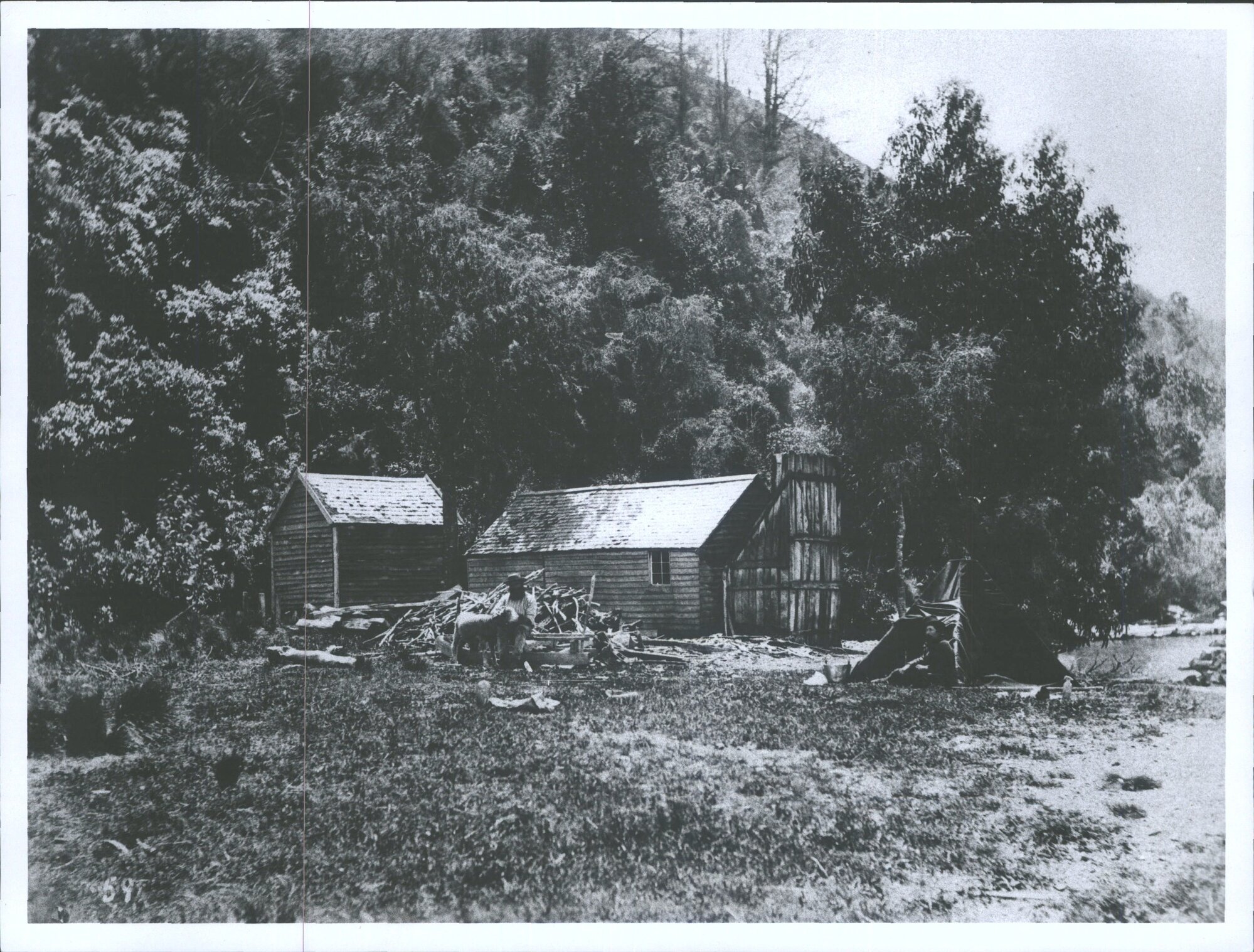 GREENSTONE, McBrides Hut