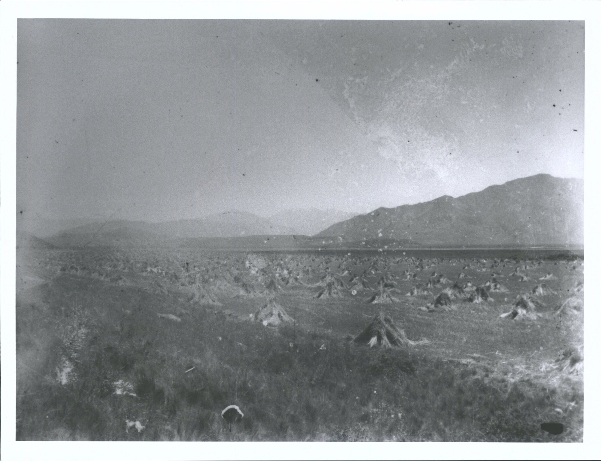 Glendhu Bay side of Matukituki Bridge on Harry Barker's farm