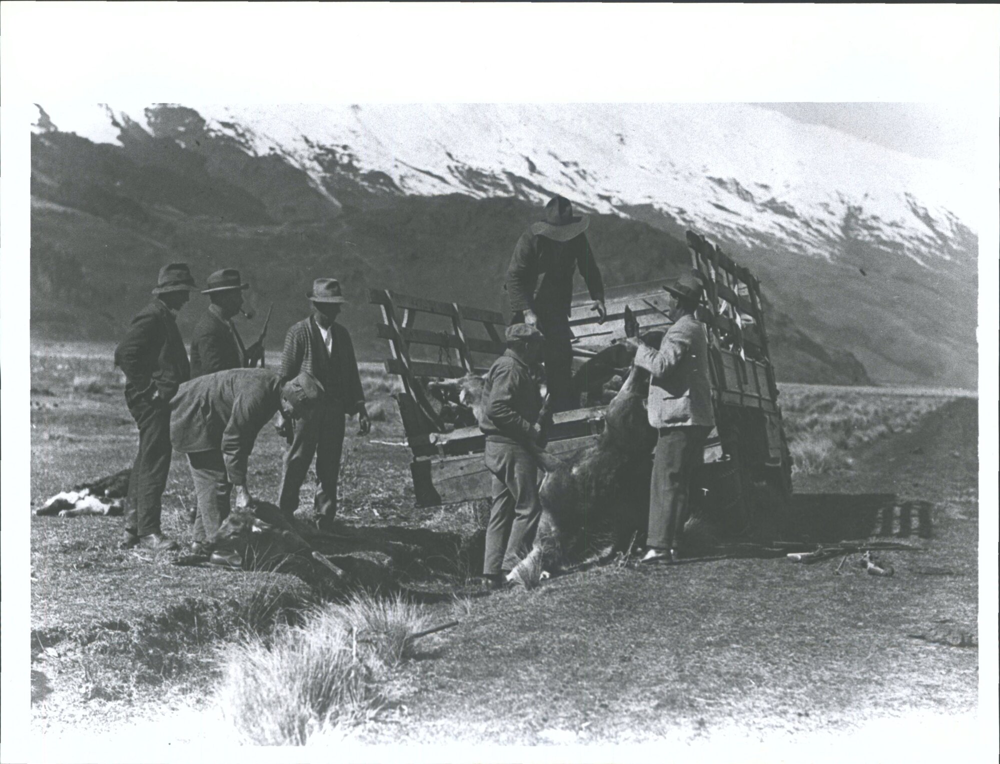 Loading deer on truck