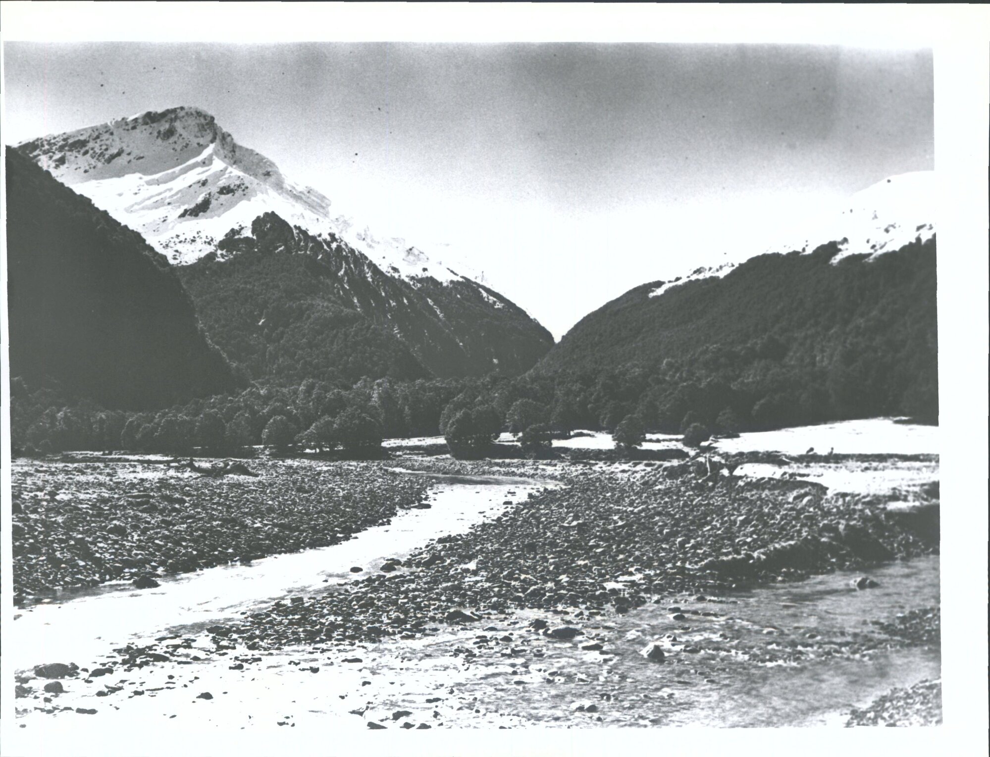 "Clearing in bush East Matukituki six miles above junction of East &amp; West.