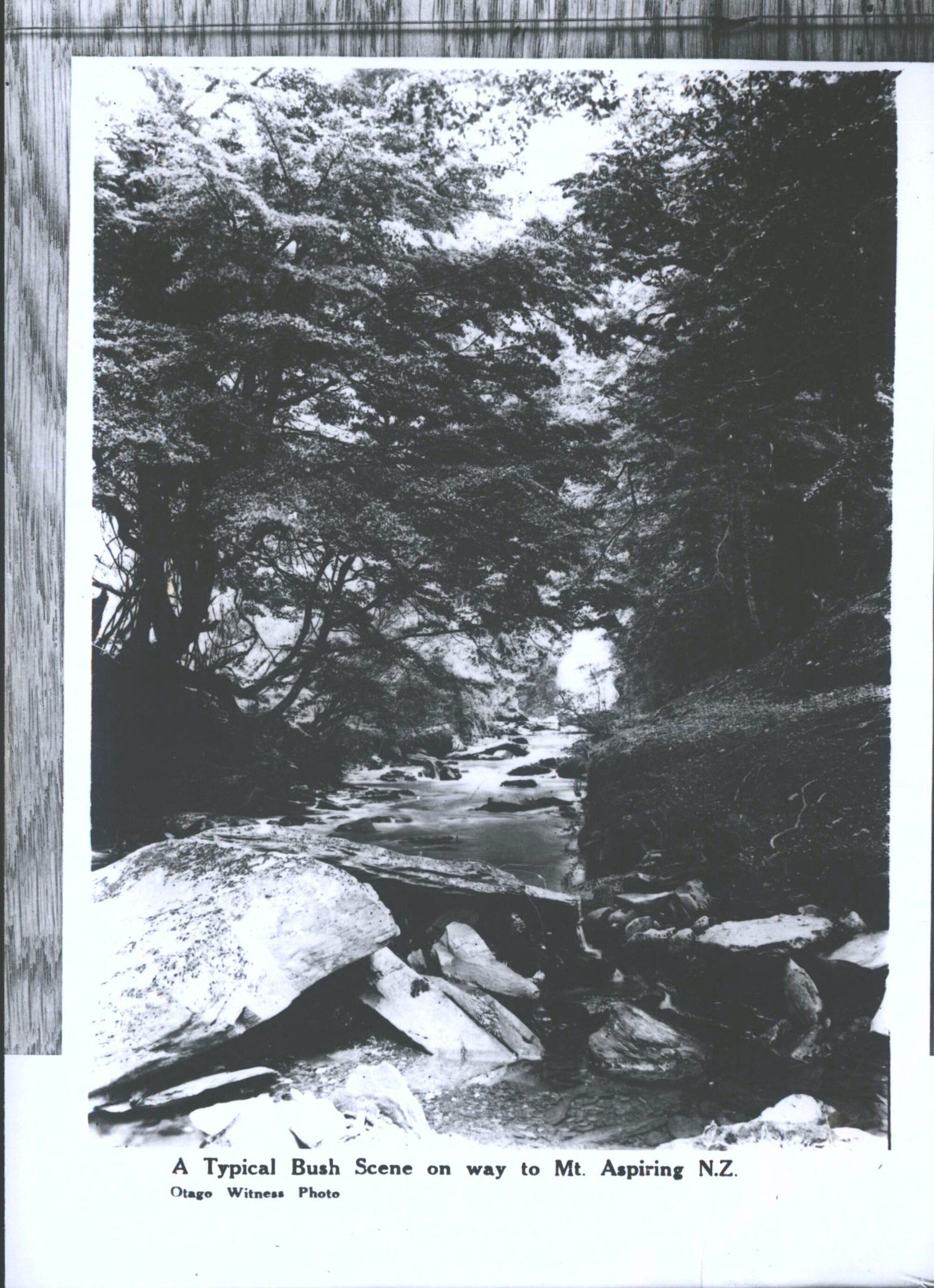 On way to MOUNT ASPIRING