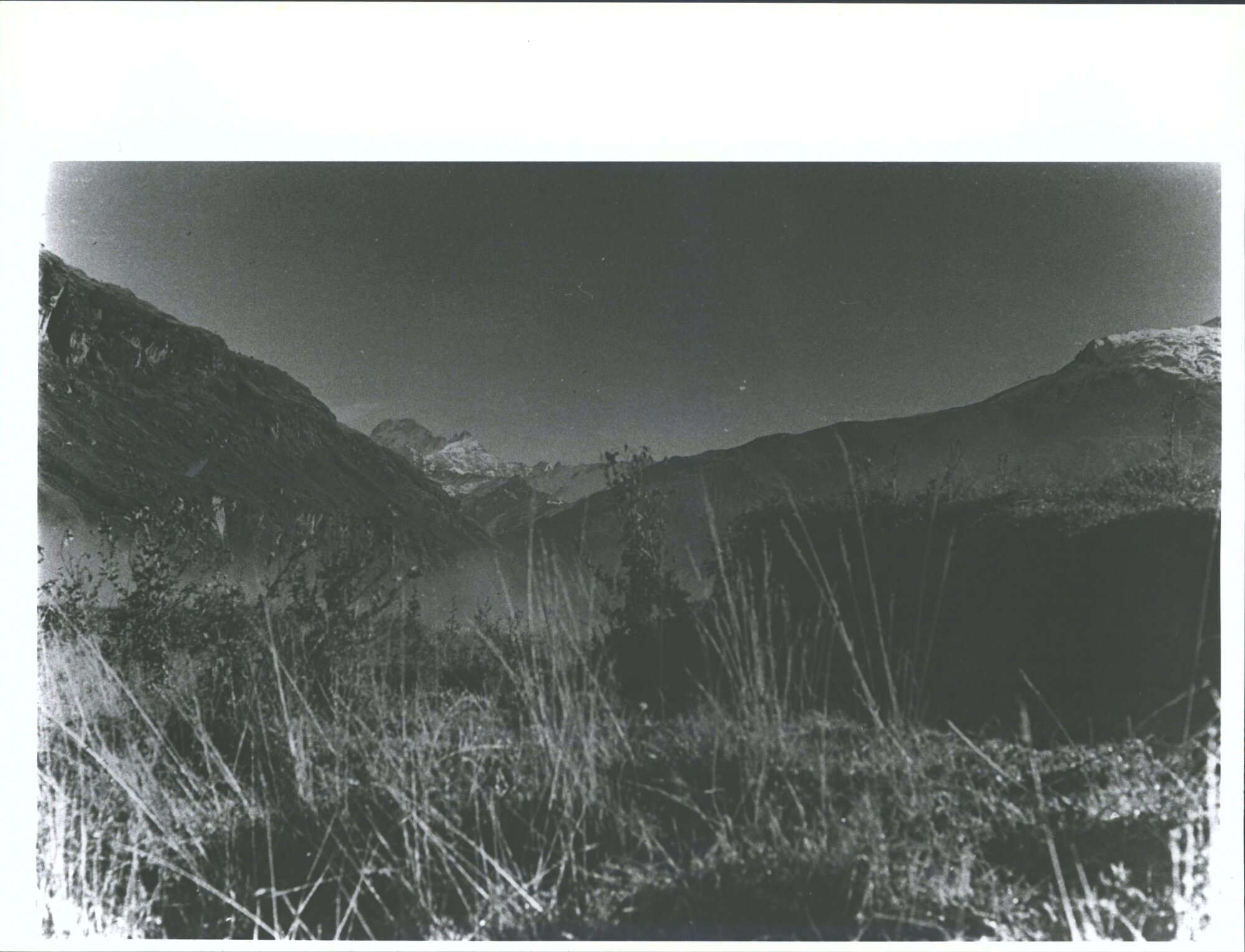 Mt Aspiring from well down the East Matukikuki River