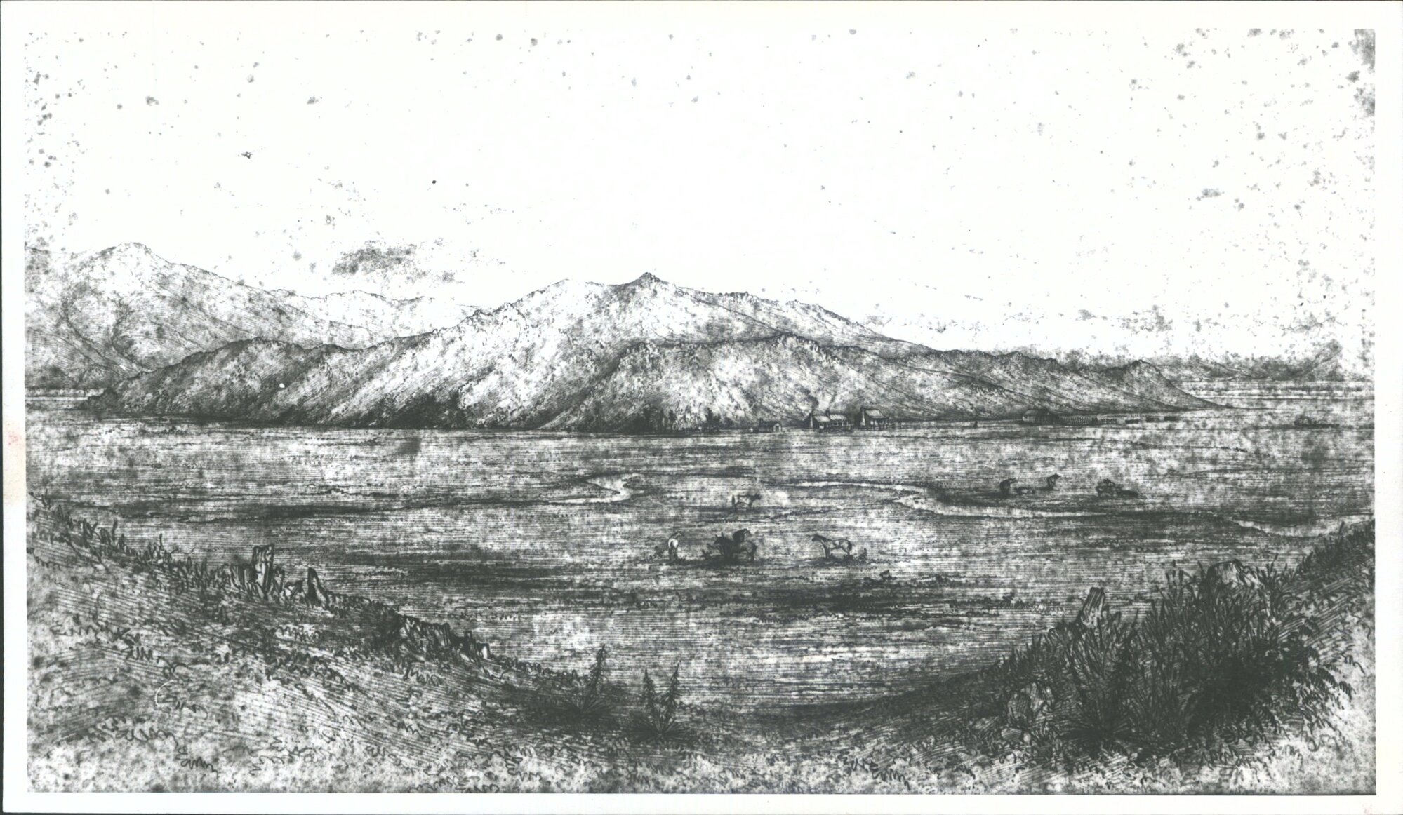 Sketch of the MacKenzie plains showing Haldon  Station