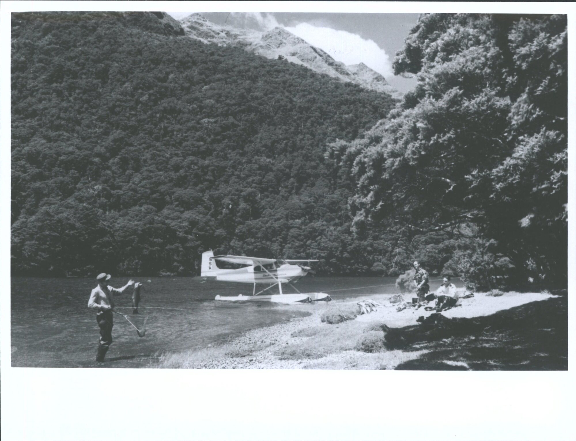 Fiordland Nation at Park