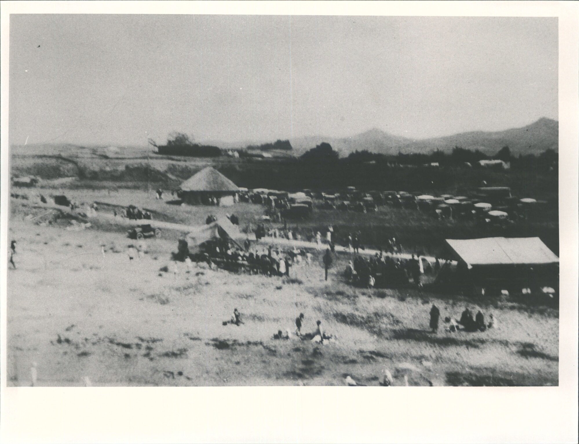 North and South Oamaru Schools Picnic