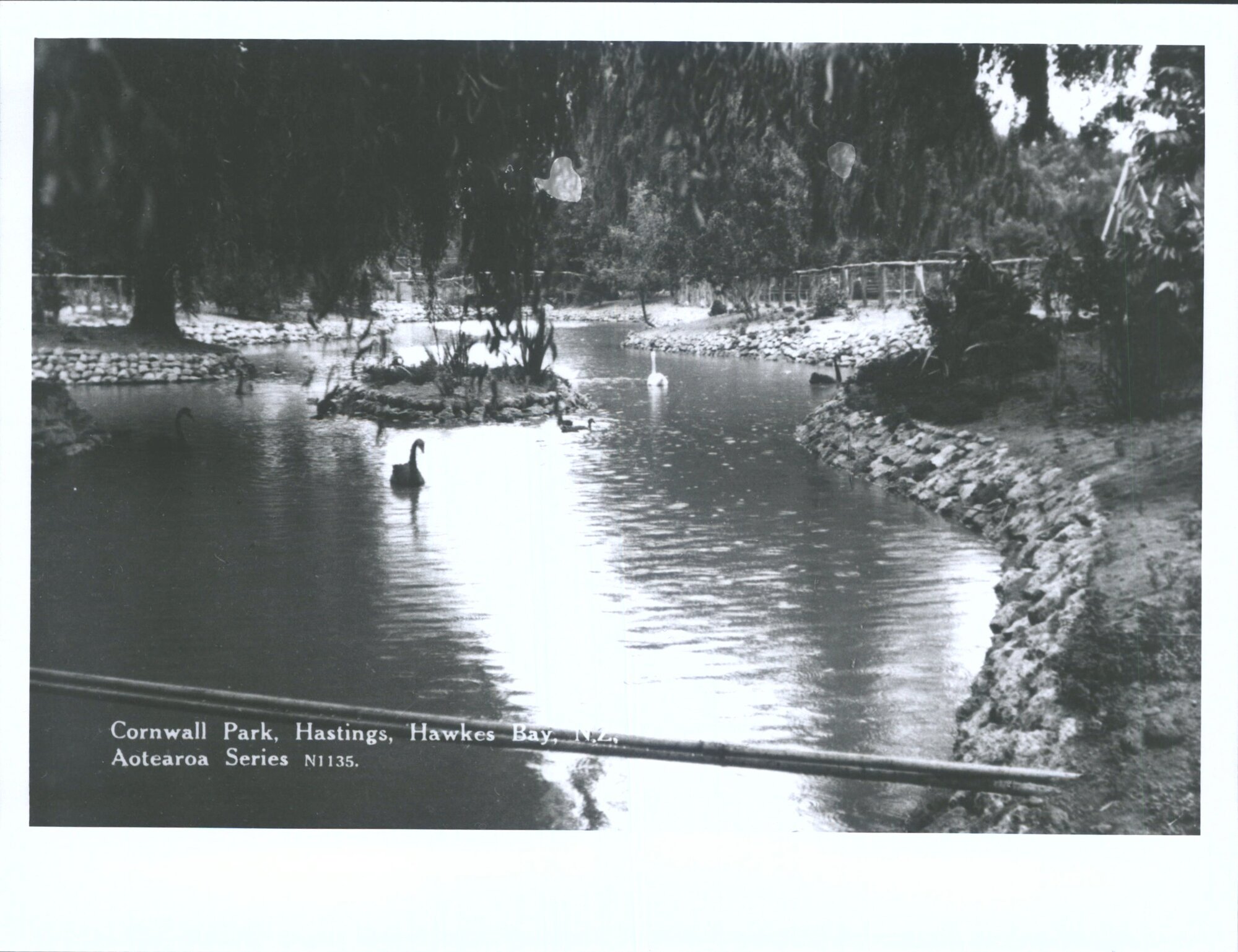 "Cornwall Park, Hastings, Hawkes Bay, N.Z."