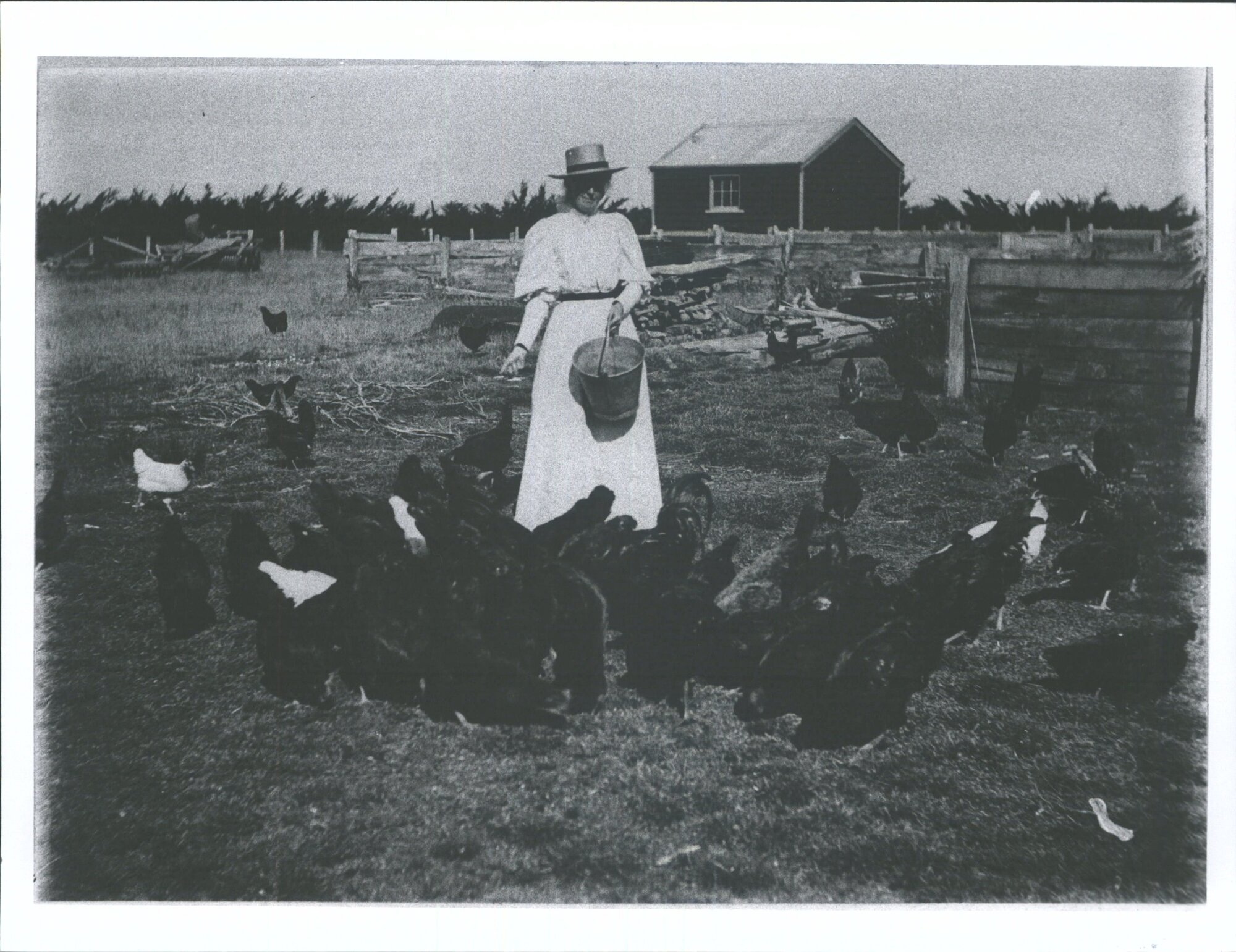 Mayfield  Auntie Agnes [Watson, wife of William] feeding fowls showing Blacksmith shop in the distance