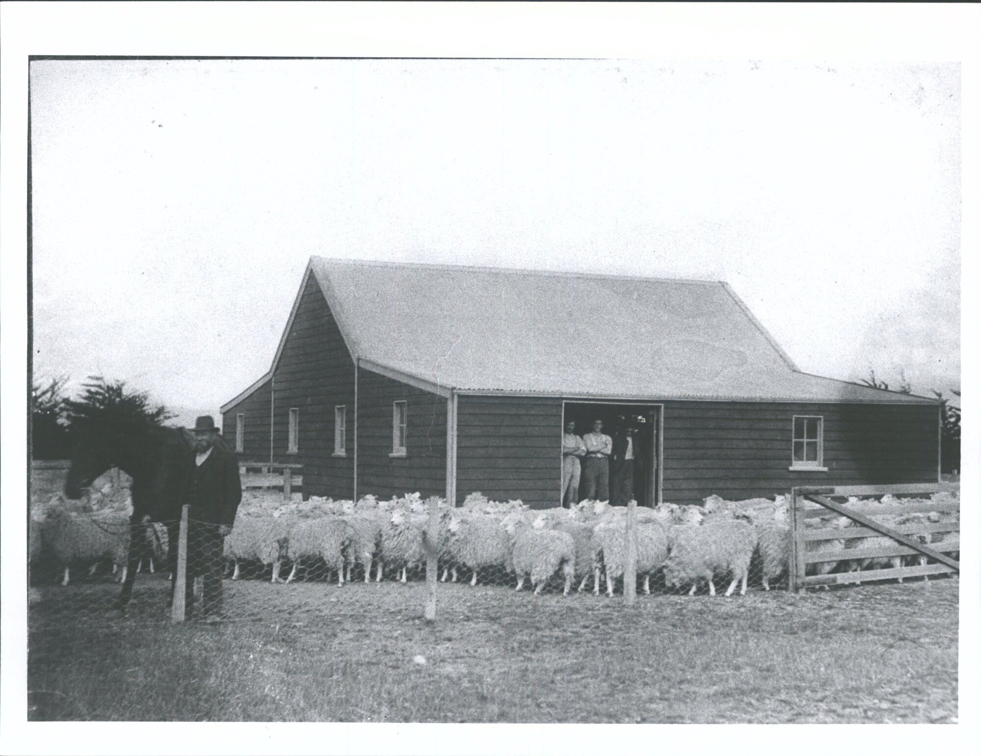 Mayfield  Original shearing shed at William Watsons "Fitting shearing shed"