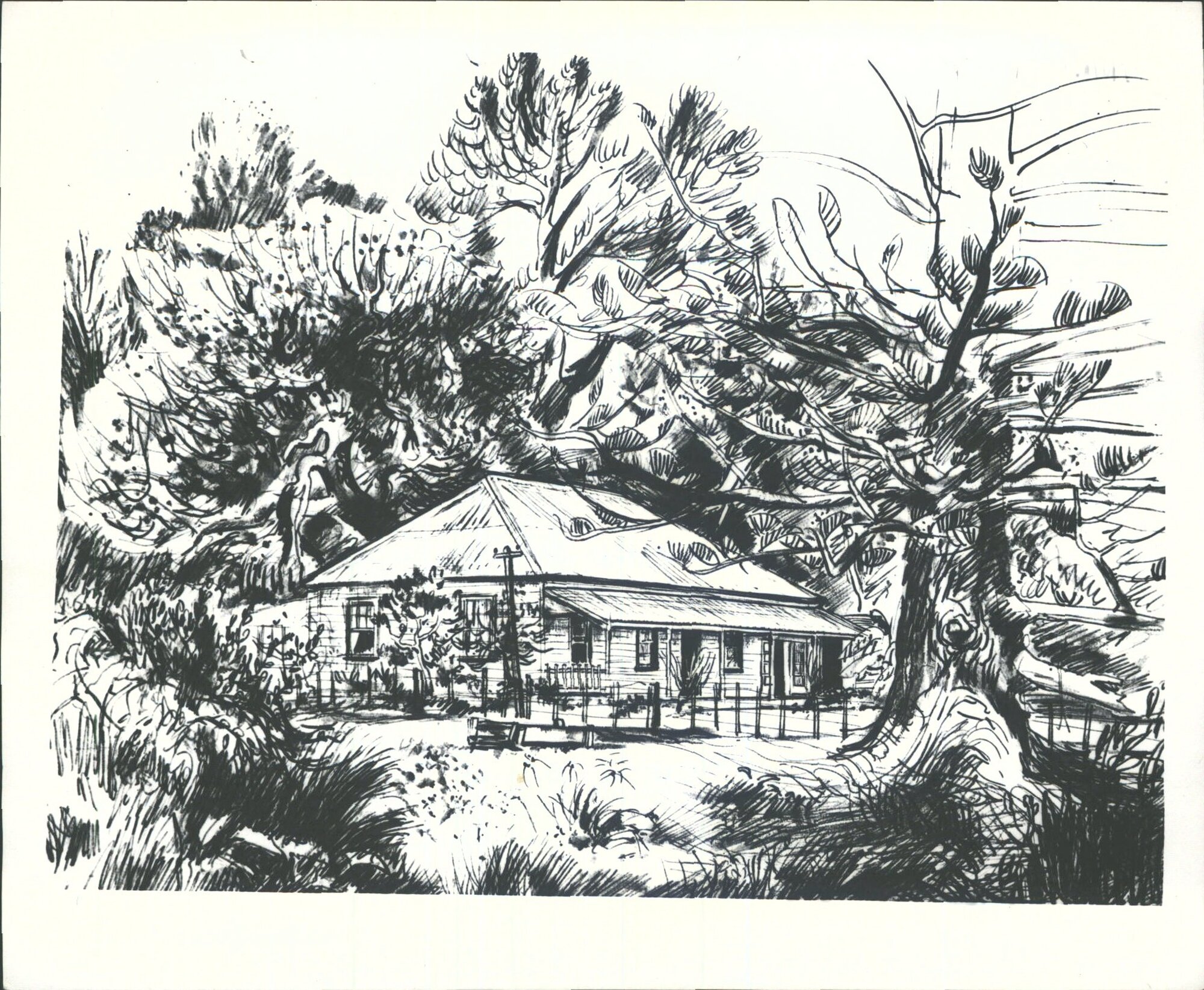 Judge Manning's Cottage, Pakanae Drawing by Eric Lee-Johnson