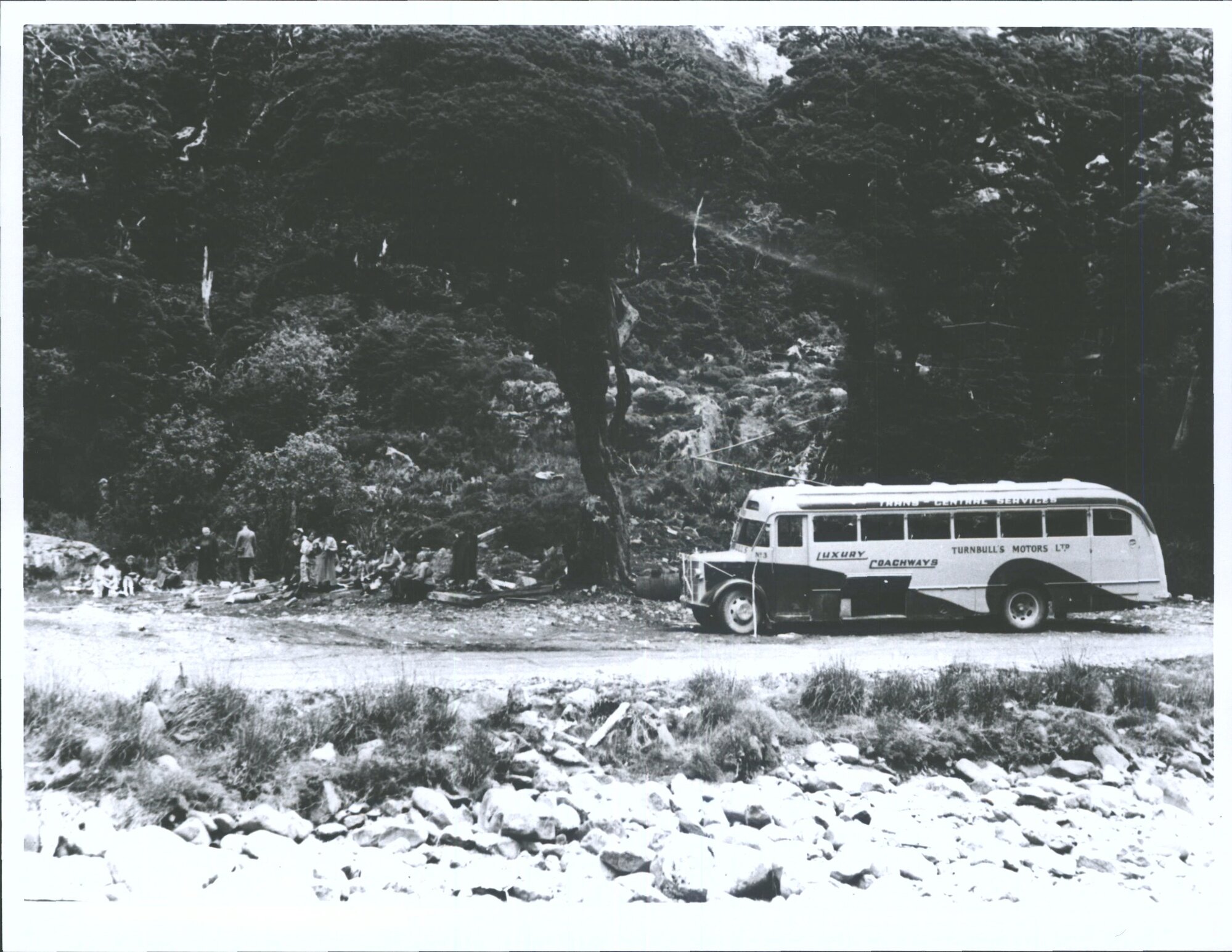 Dunedin Naturalists Field Club at lunch at Homer Camp