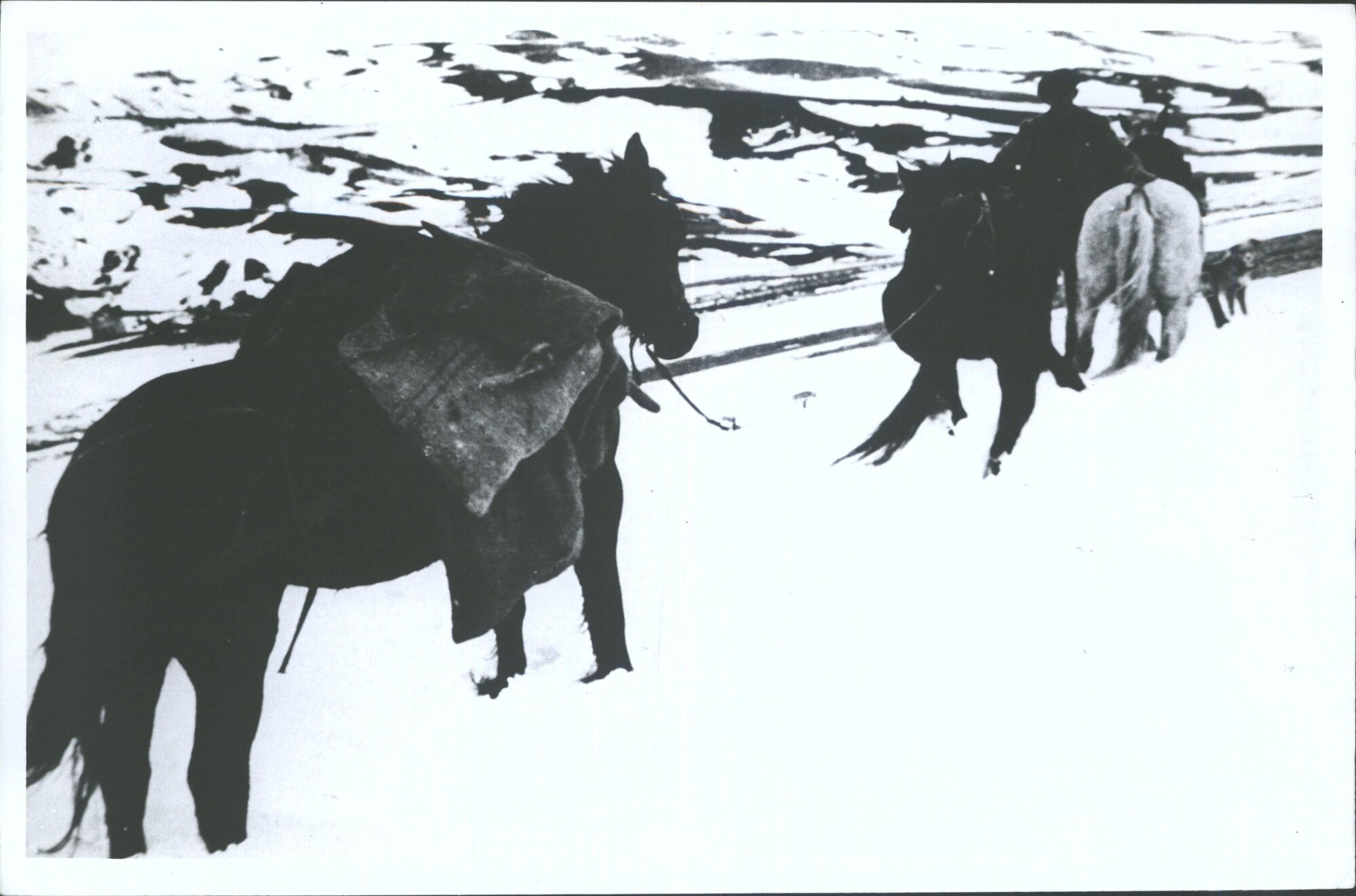 Carting mail from Cromwell to Nevis