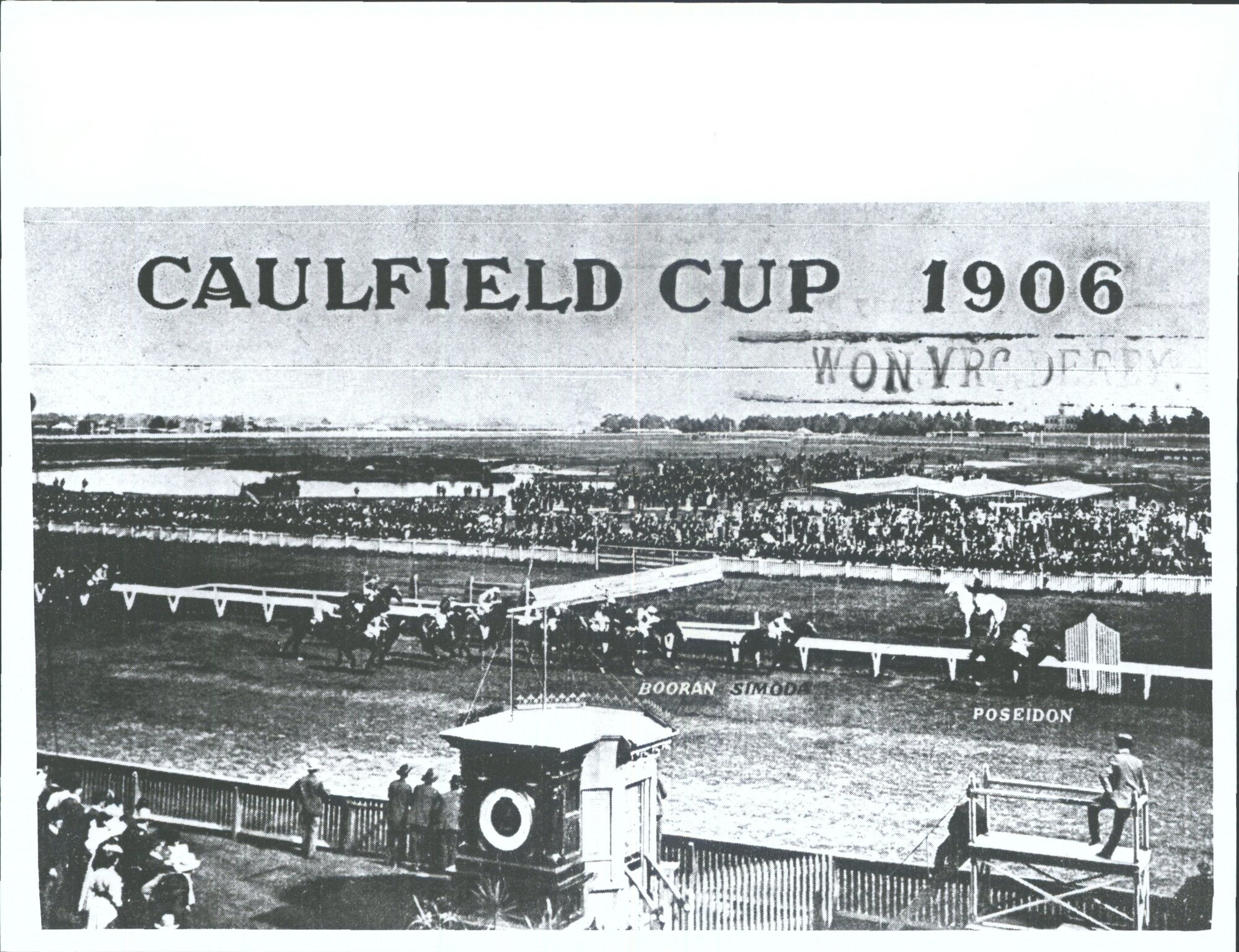 HORSES - Caulfield Cup